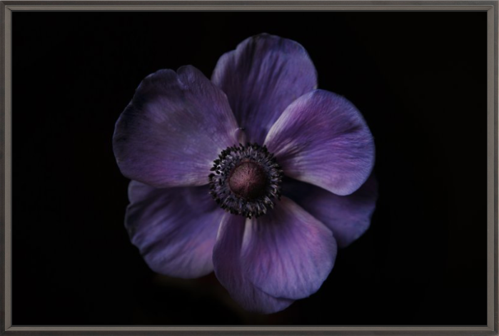 Screenshot 2019-05-26 09.12.35.png