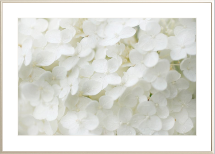 Screenshot 2019-05-26 09.22.01.png