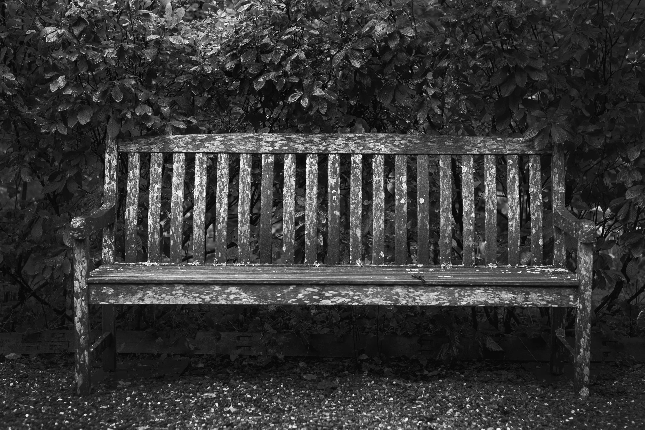 IMG_8583bw.jpg