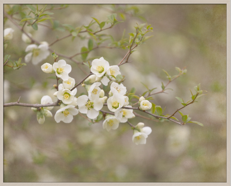 Screenshot 2020-01-07 16.22.29.png