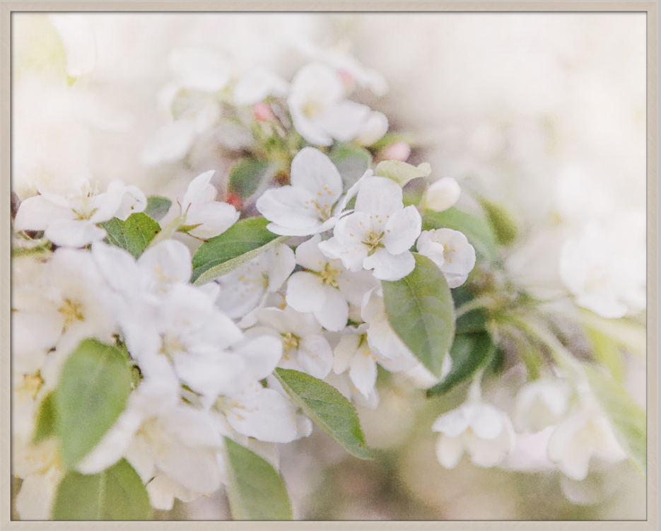 Screenshot 2020-01-07 16.22.05.png