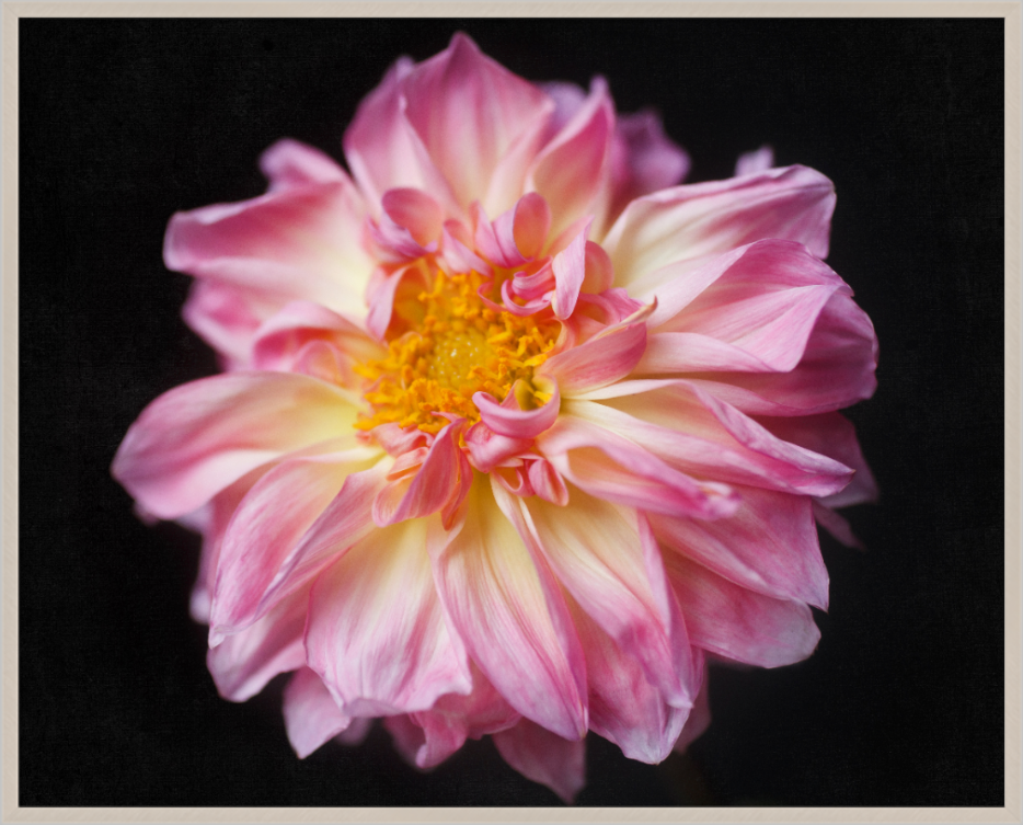 Screenshot 2020-01-07 16.17.25.png