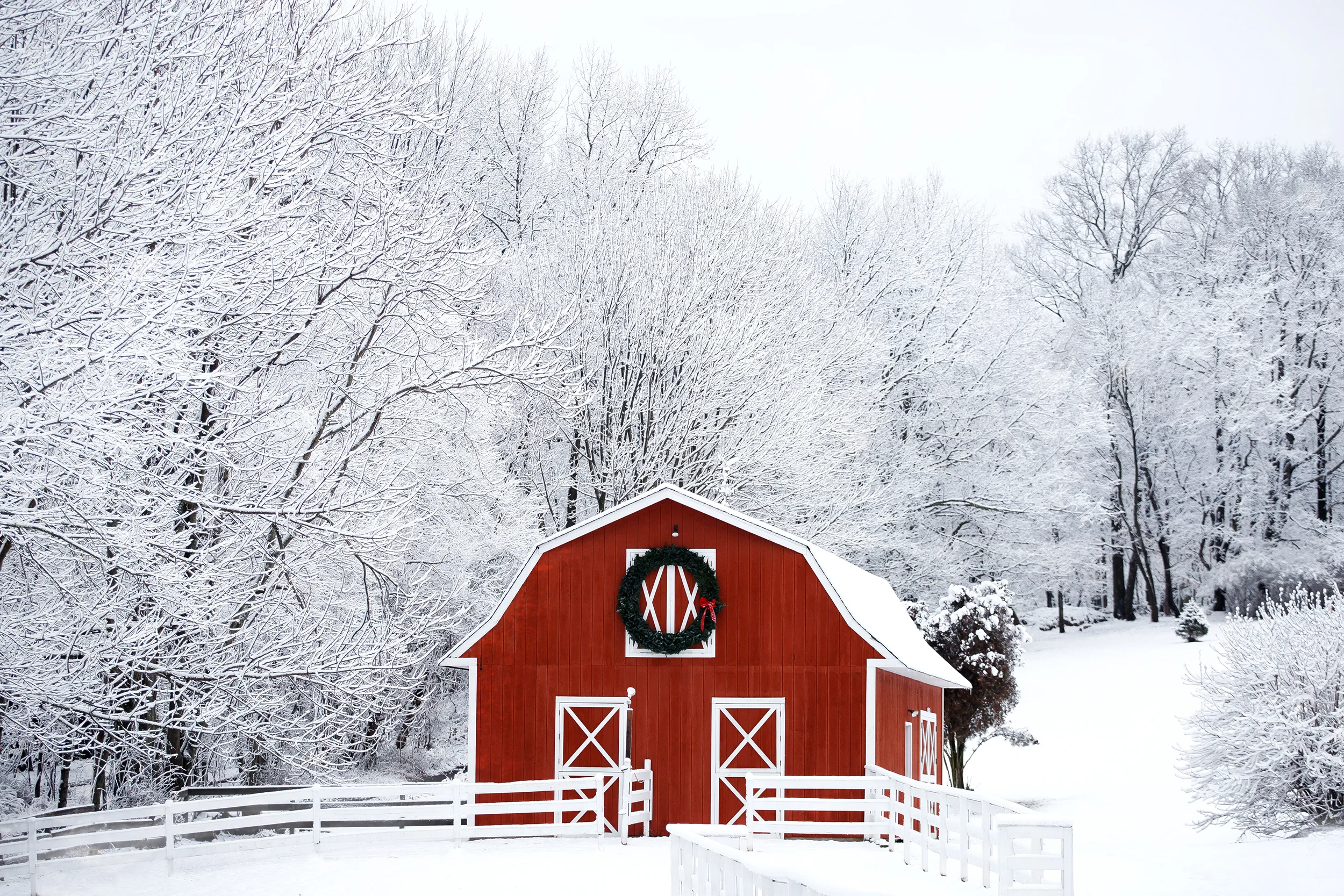 Red Barn in Snow