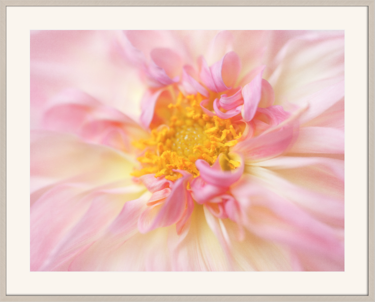 Screenshot 2019-11-28 11.24.13.png