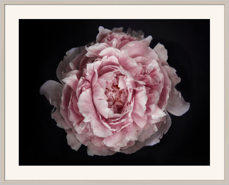 Screenshot 2019-11-27 11.12.53.png