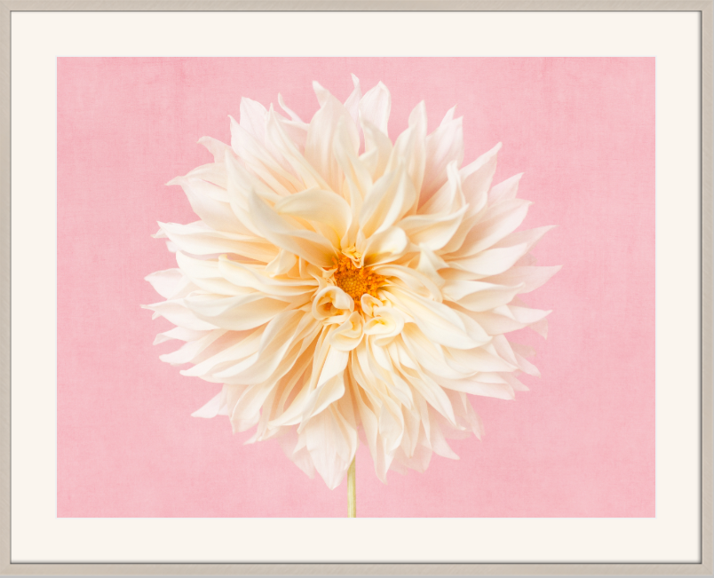 Screenshot 2019-11-22 12.24.42.png