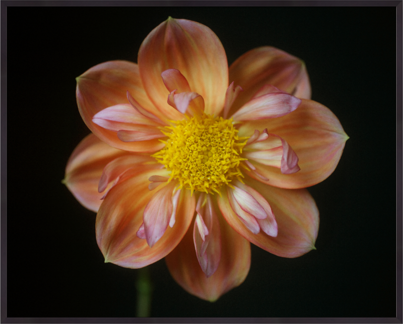 Screenshot 2019-10-27 19.42.49.png