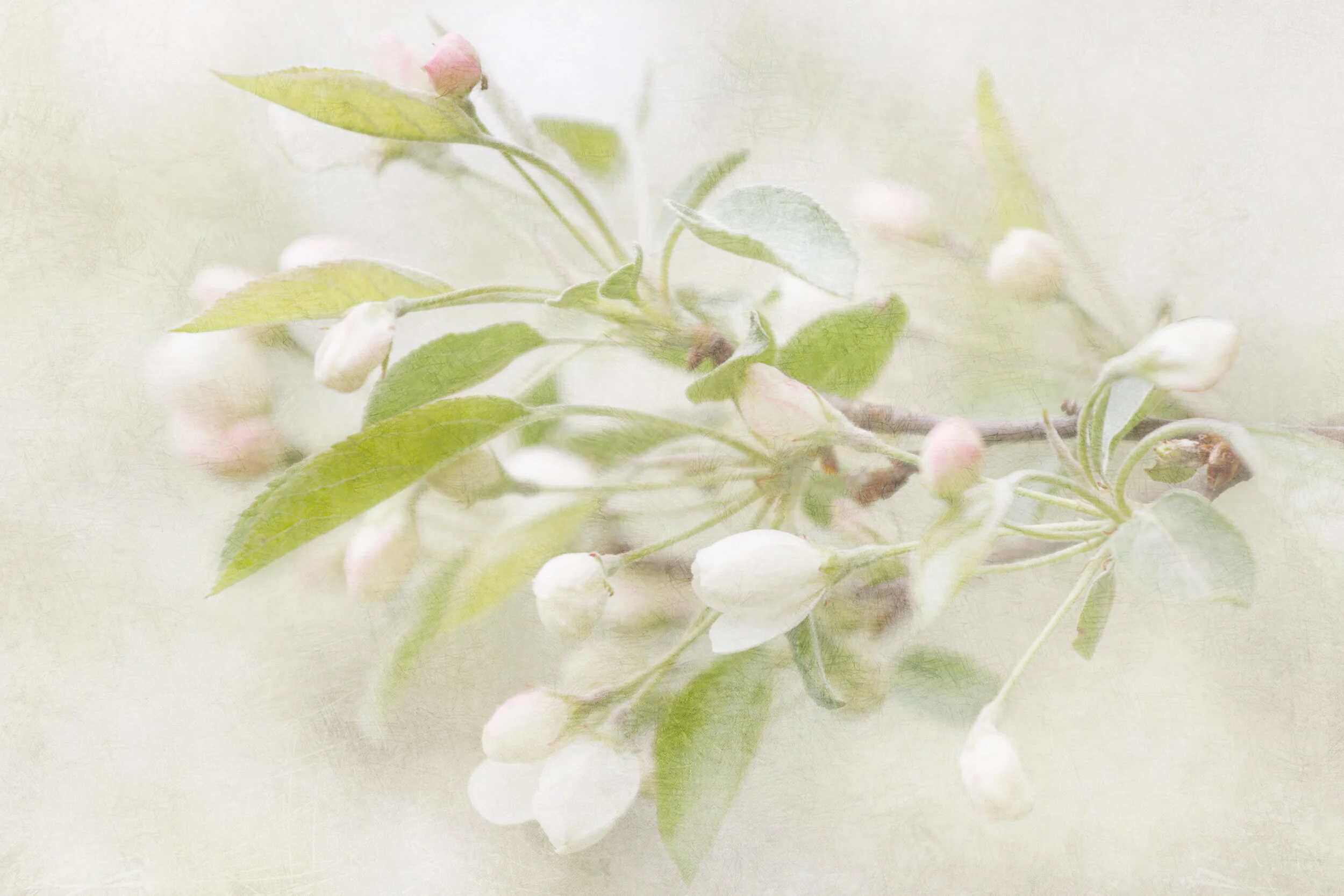 When Everything is New