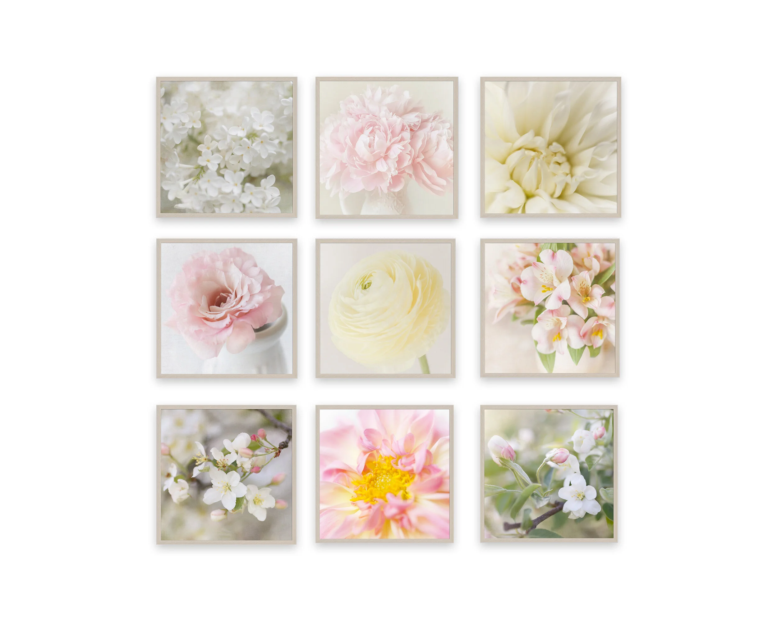 Cottage Flower Gallery Set