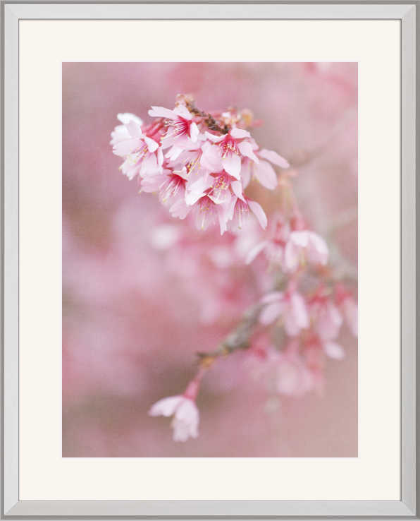 Screenshot 2020-04-04 08.31.28.png