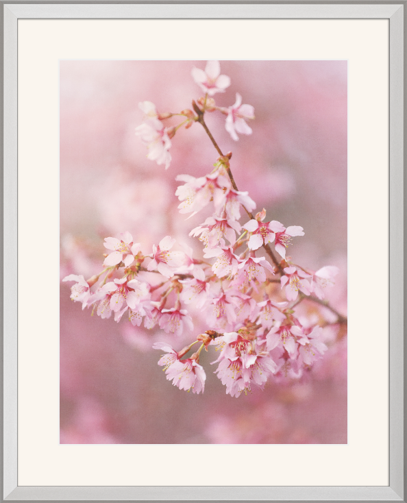 Screenshot 2020-04-04 08.24.58.png