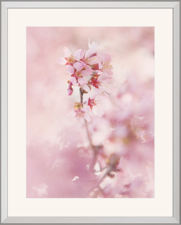 Screenshot 2020-04-04 08.24.41.png