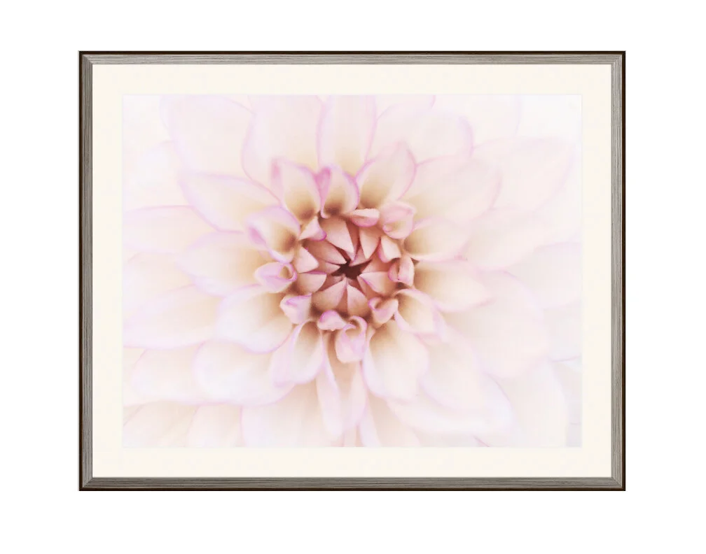 The Heart of the Matter