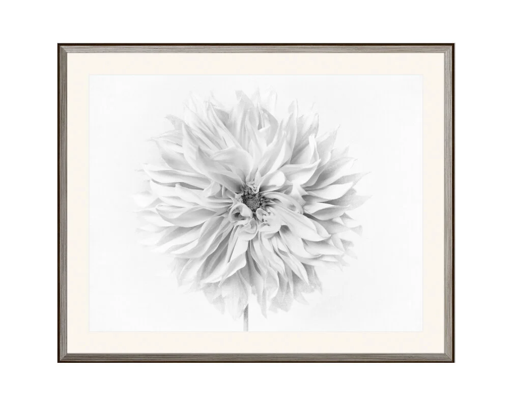 Lollipop-black and white