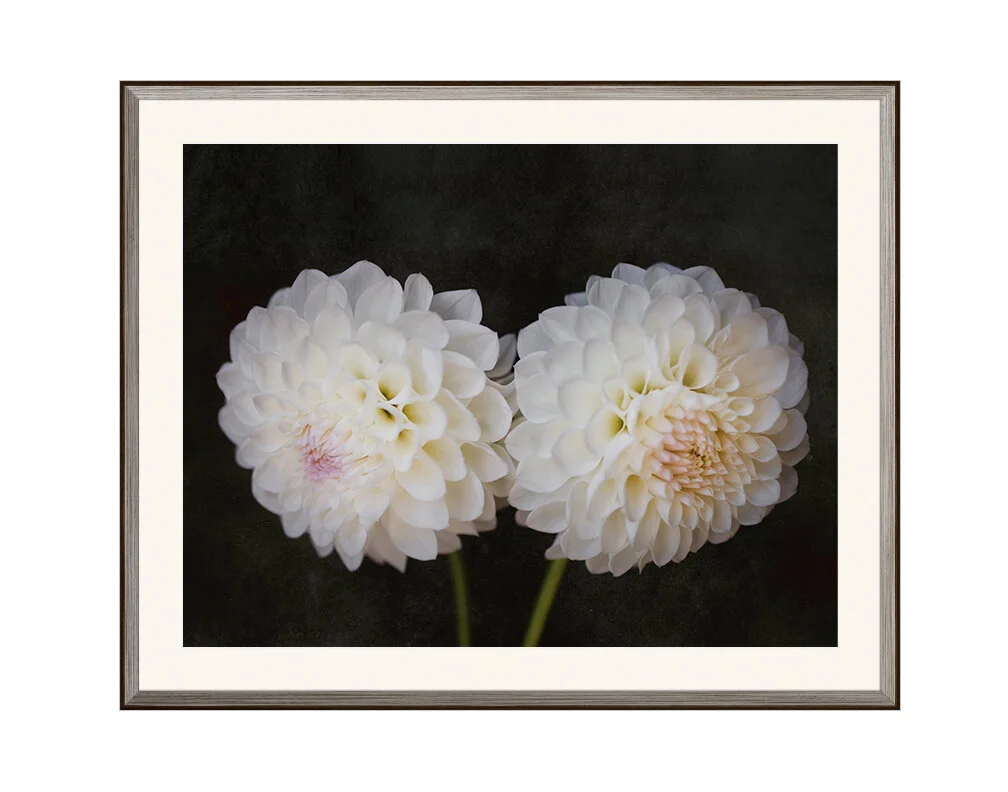 When You Don't See Eye to Eye - white dahlia print