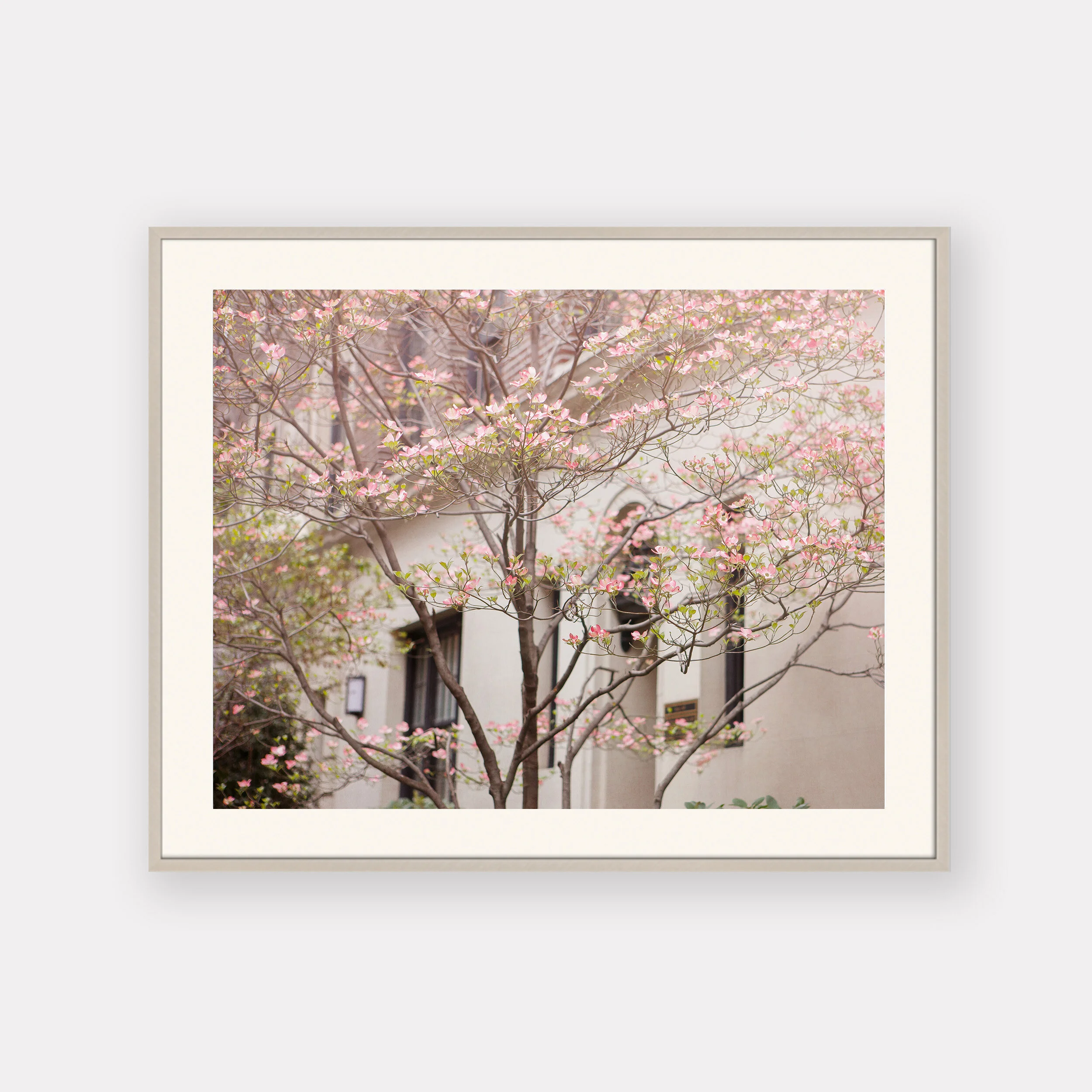 Fifth Avenue in Bloom