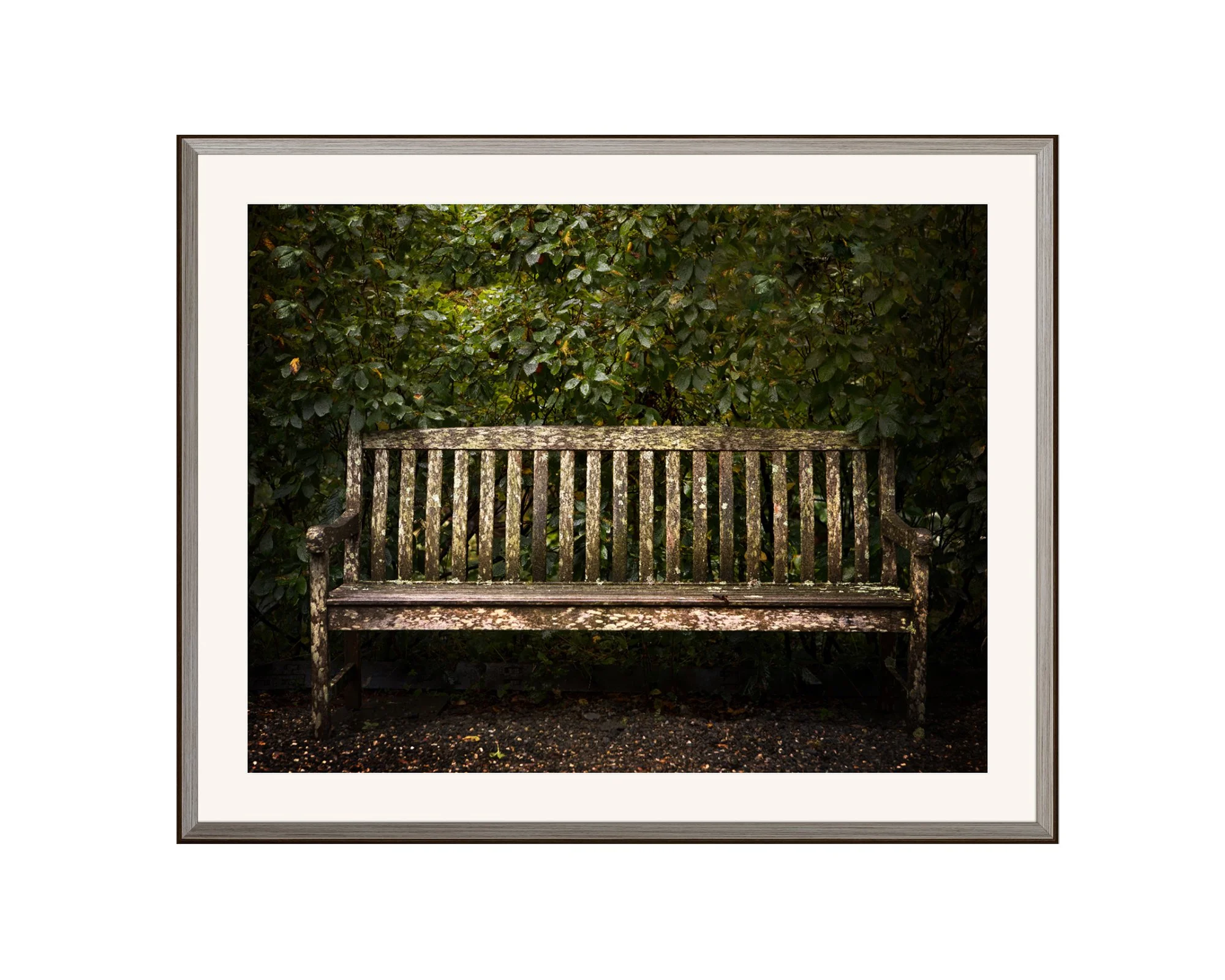 The Garden Bench II