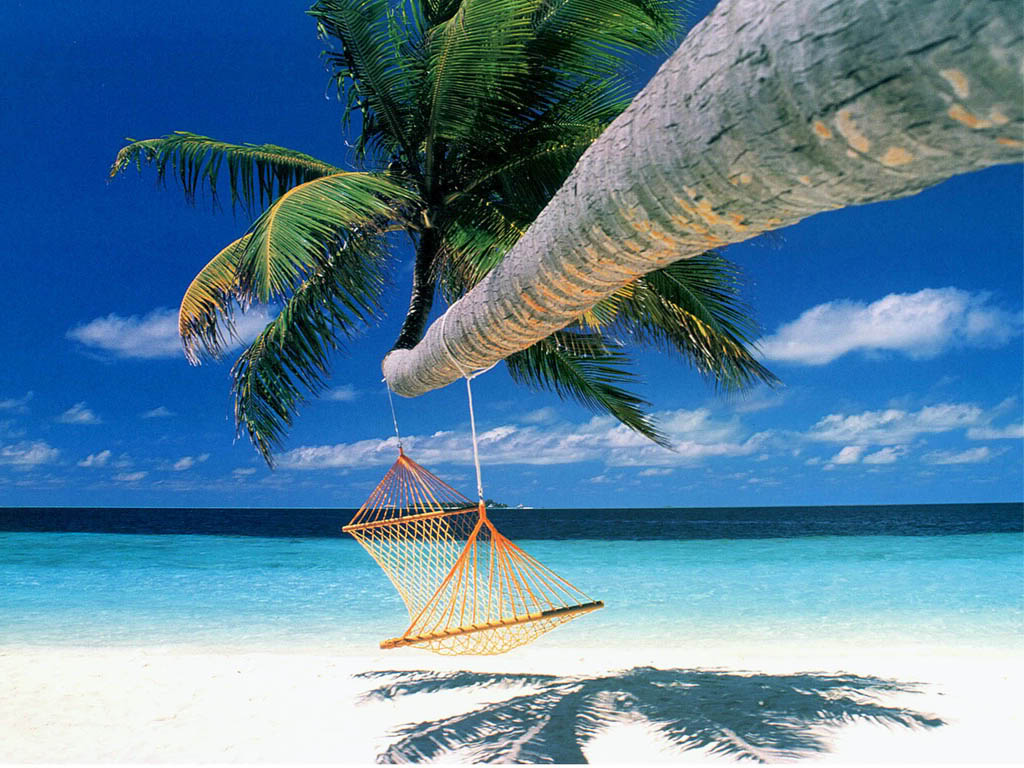 Varadero Cuba Beach Swing.jpg