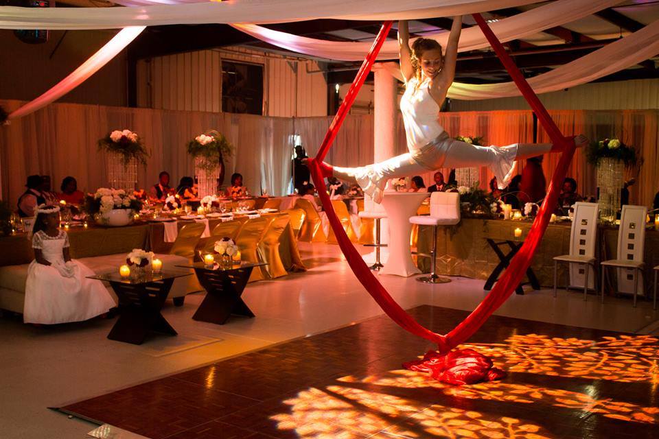 Aerial Silks- Wedding Performance.jpg