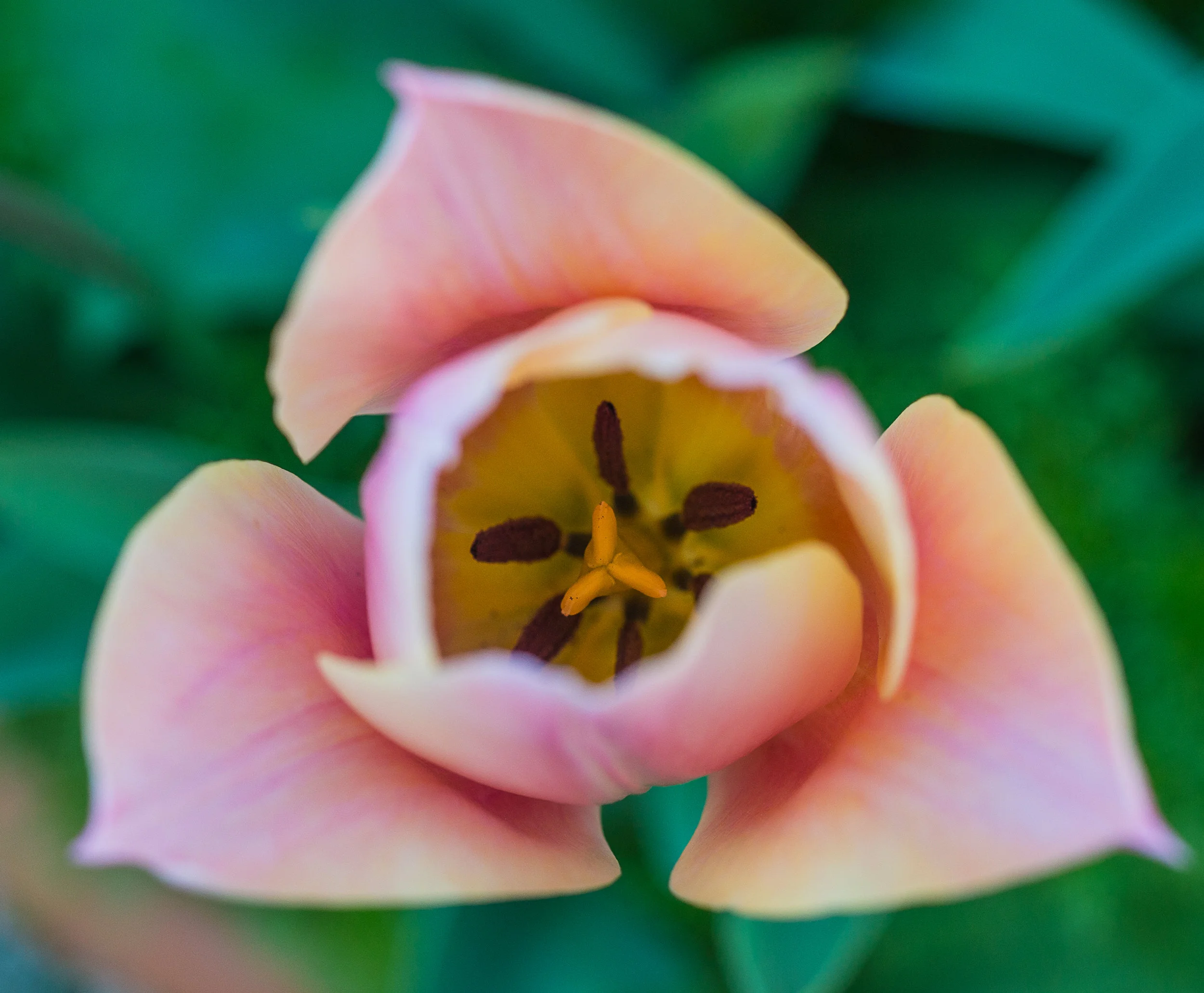 DSC_0551.jpg