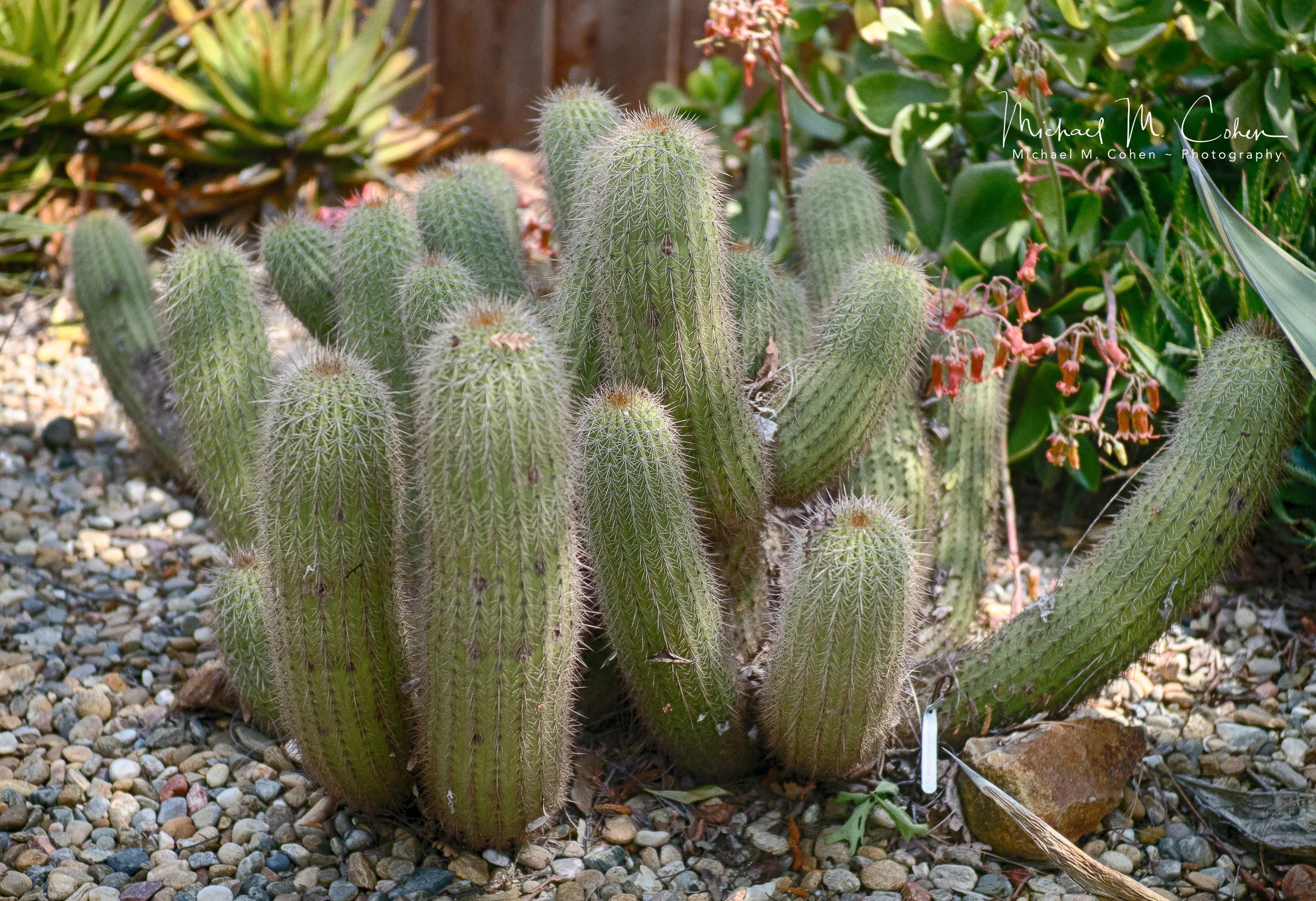 P4090020_HDR.jpg
