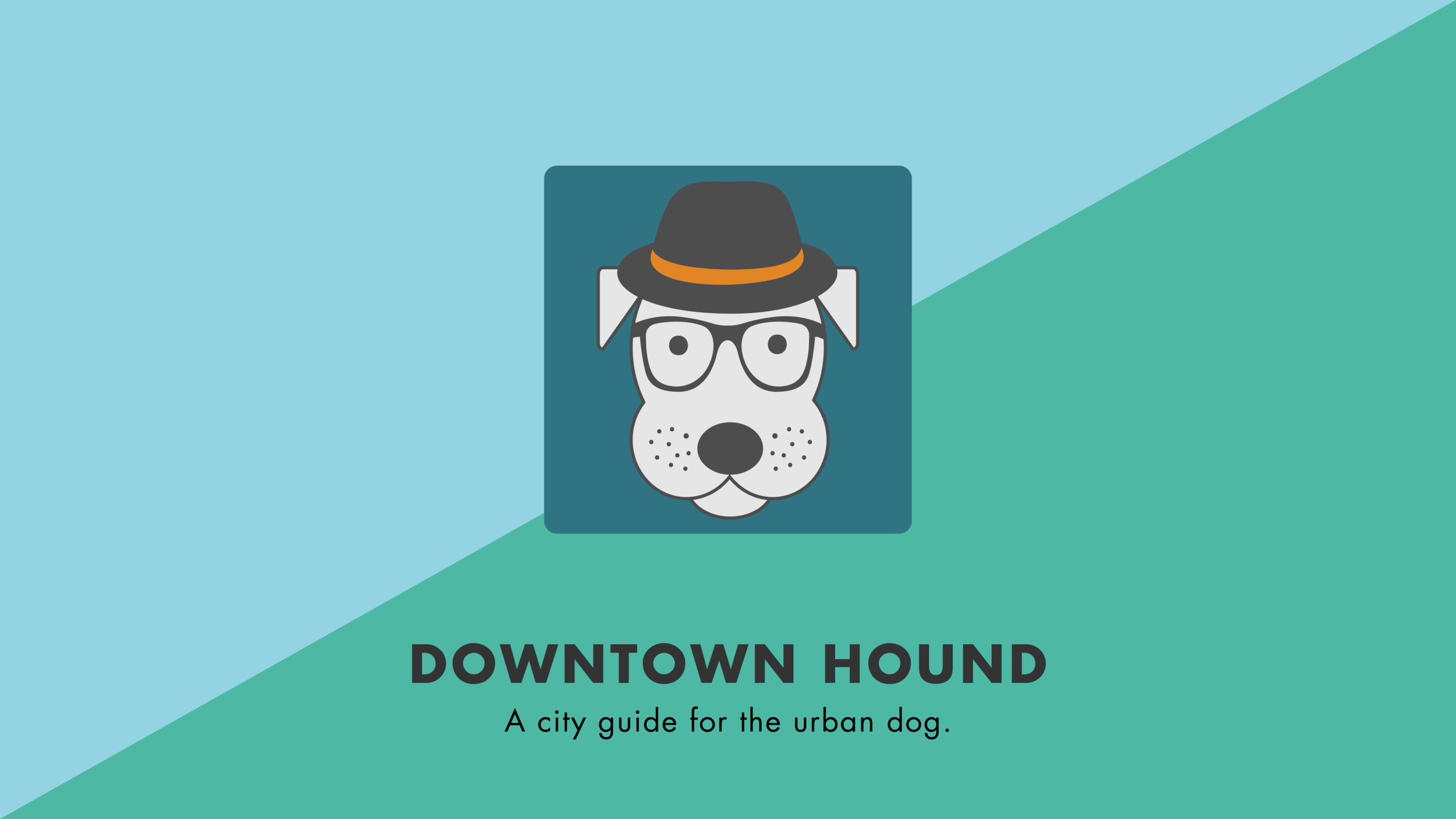 NA17_APP_DowntownHound_Branding-01.png