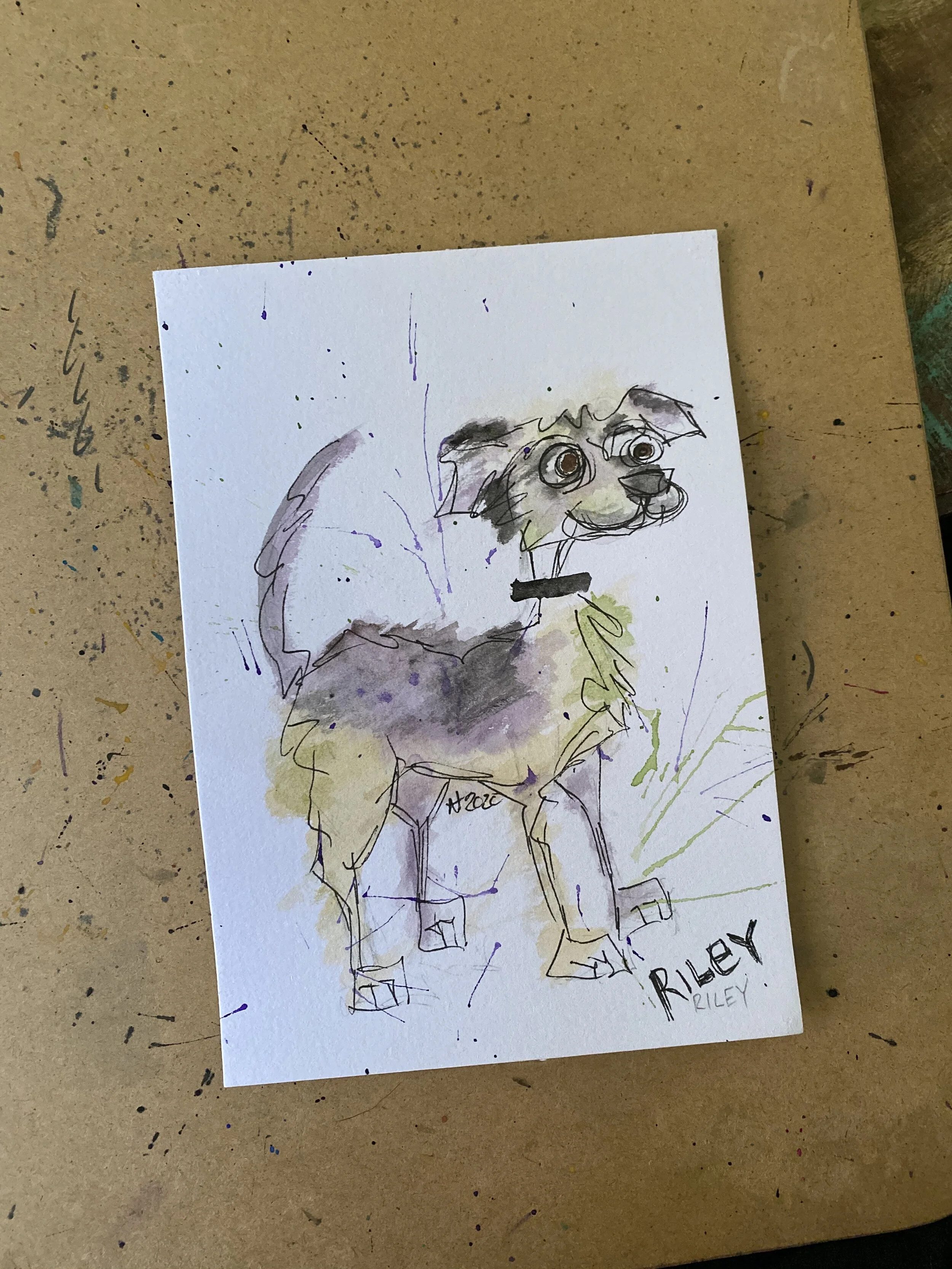Riley.jpeg