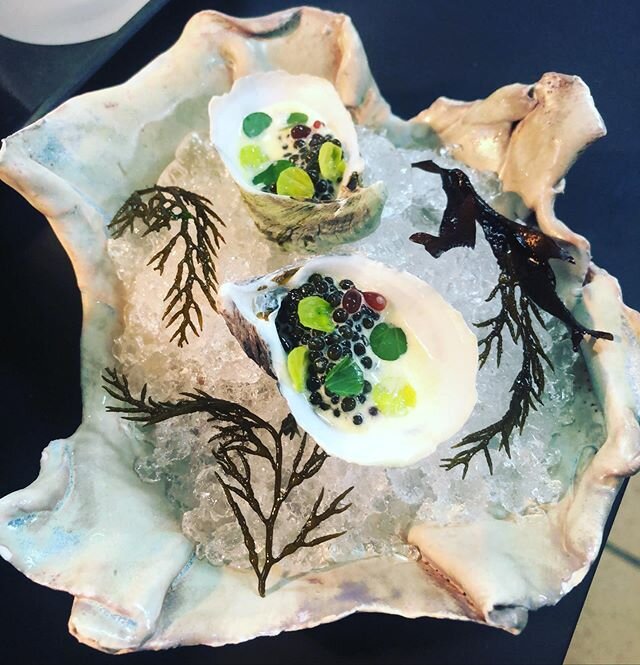 Pacific gold oysters, corn cream, seaweed oil, parsley and caviar. Part of the 8 courses tonight. @mboysterco @montereybayseaweeds @relaischateaux .
.
.
.
#carmel #sfbayarea #ocean #tcic #oystertime