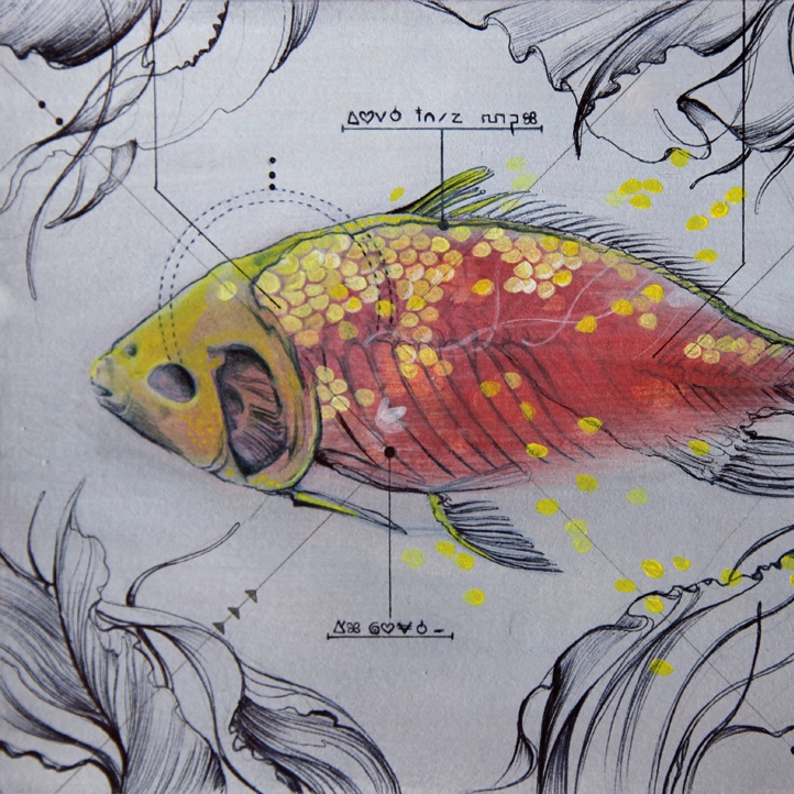 Fish_total_WEB.jpg