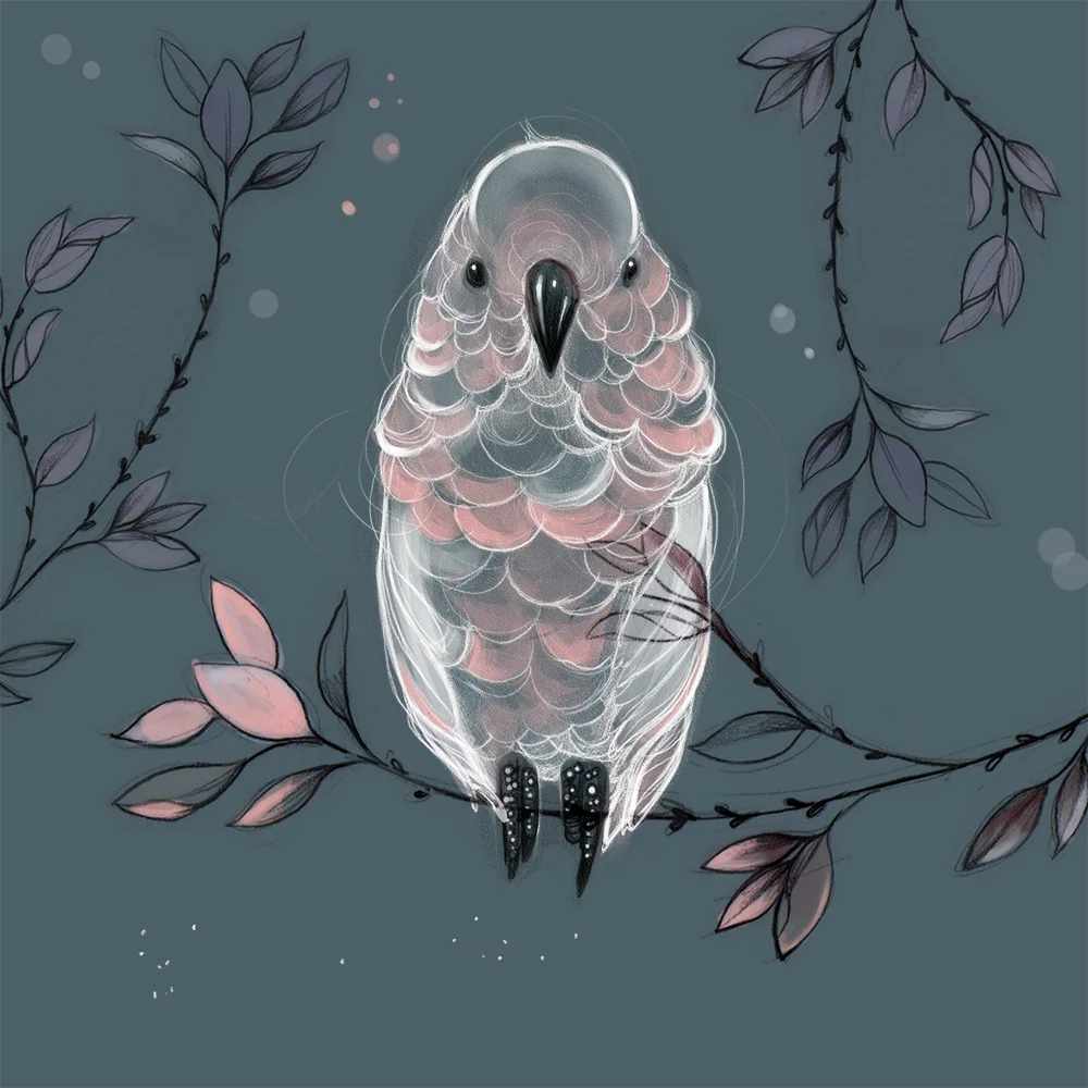 cockatoos_square_web.jpg