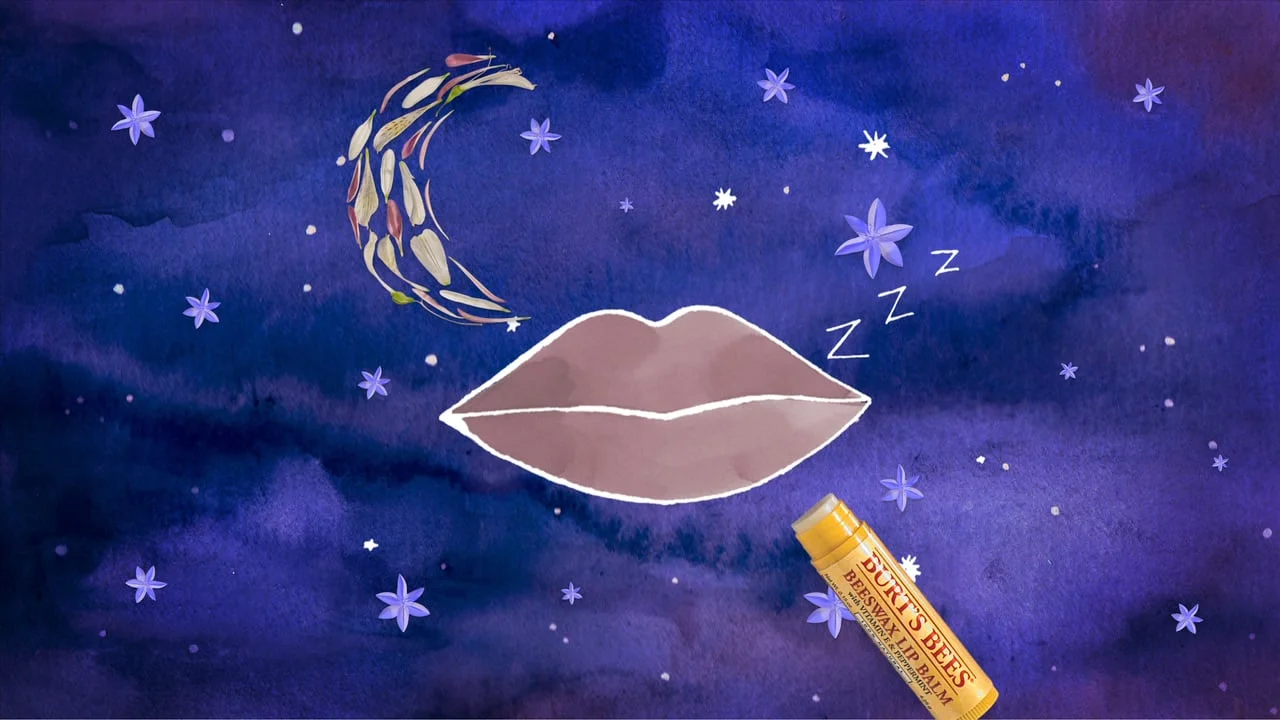 Burt's Bees: Lip Tips "Before Bed"
