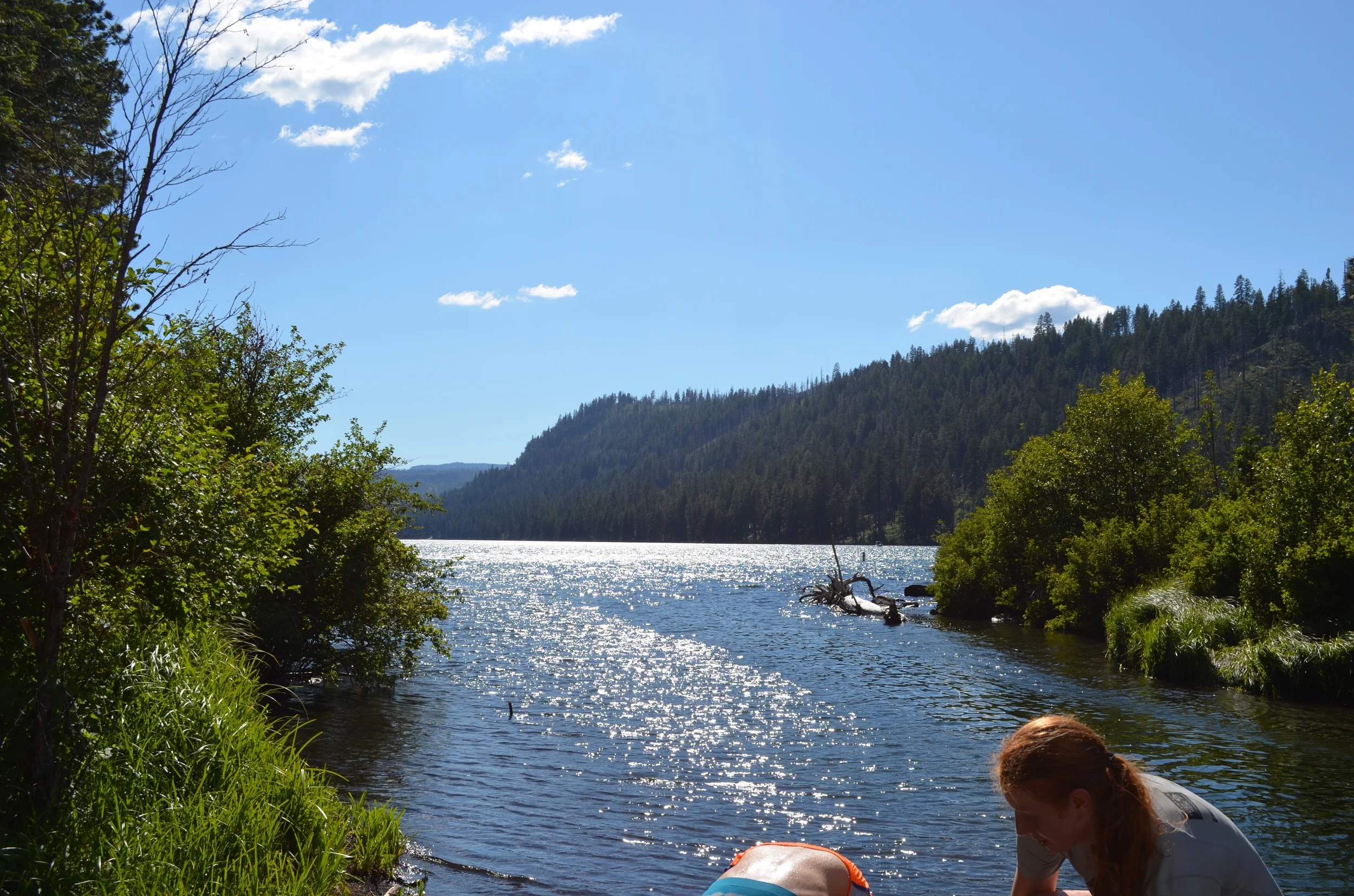 DSC_0491.jpg
