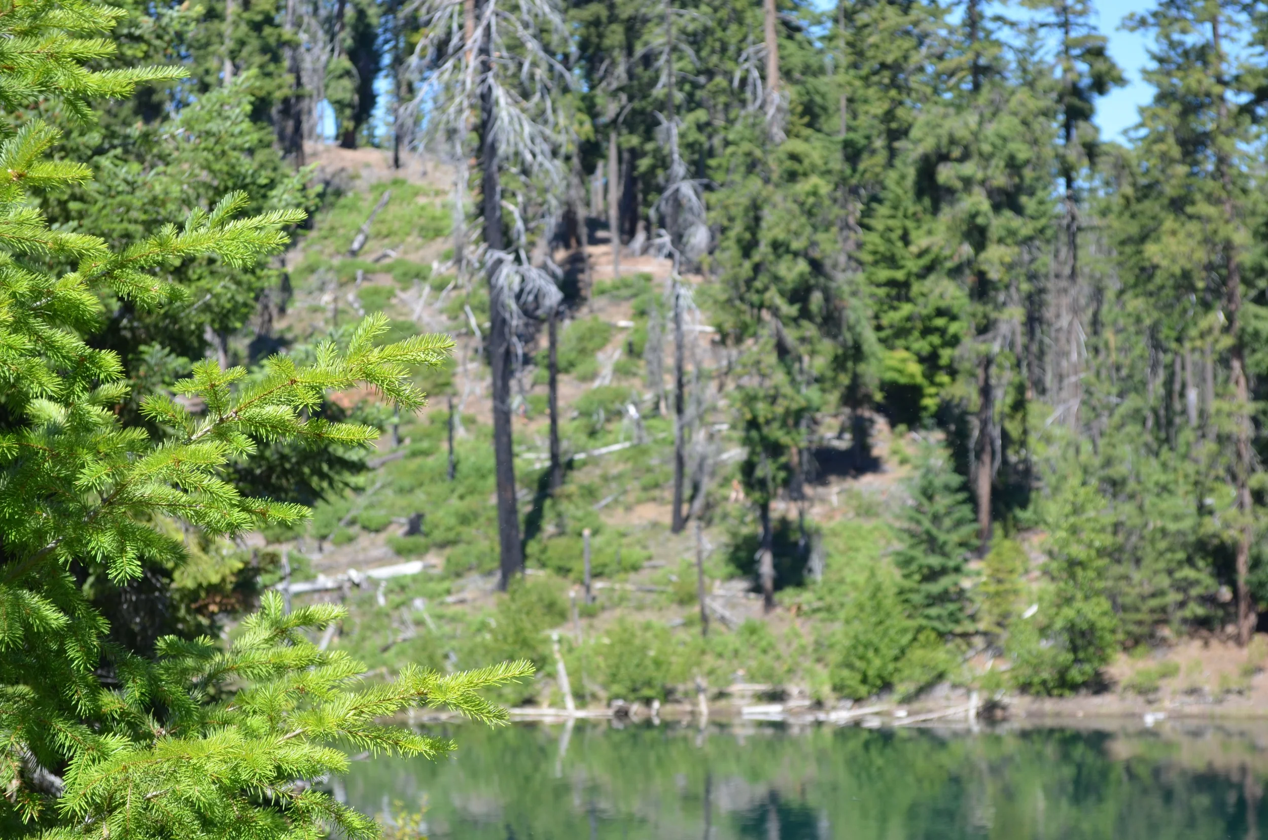 DSC_0537.jpg