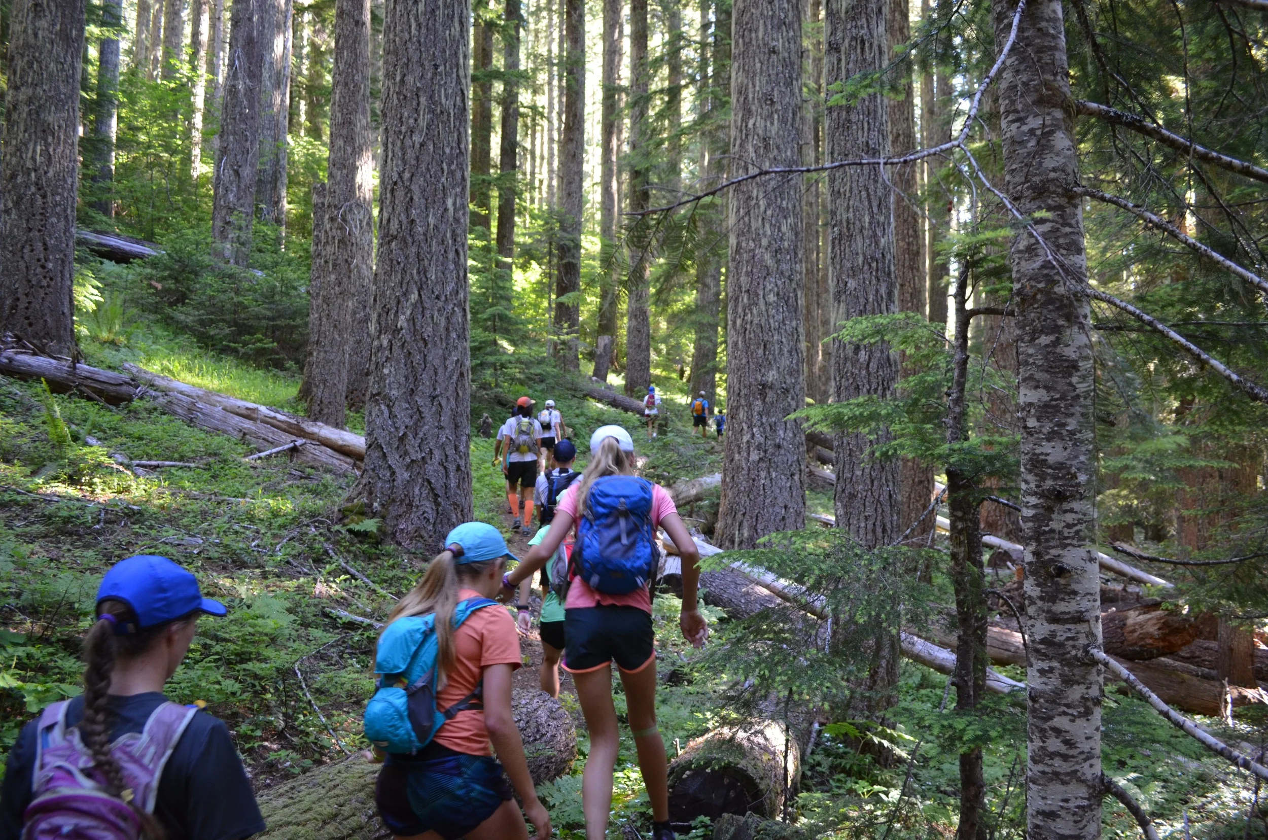 DSC_0646.jpg