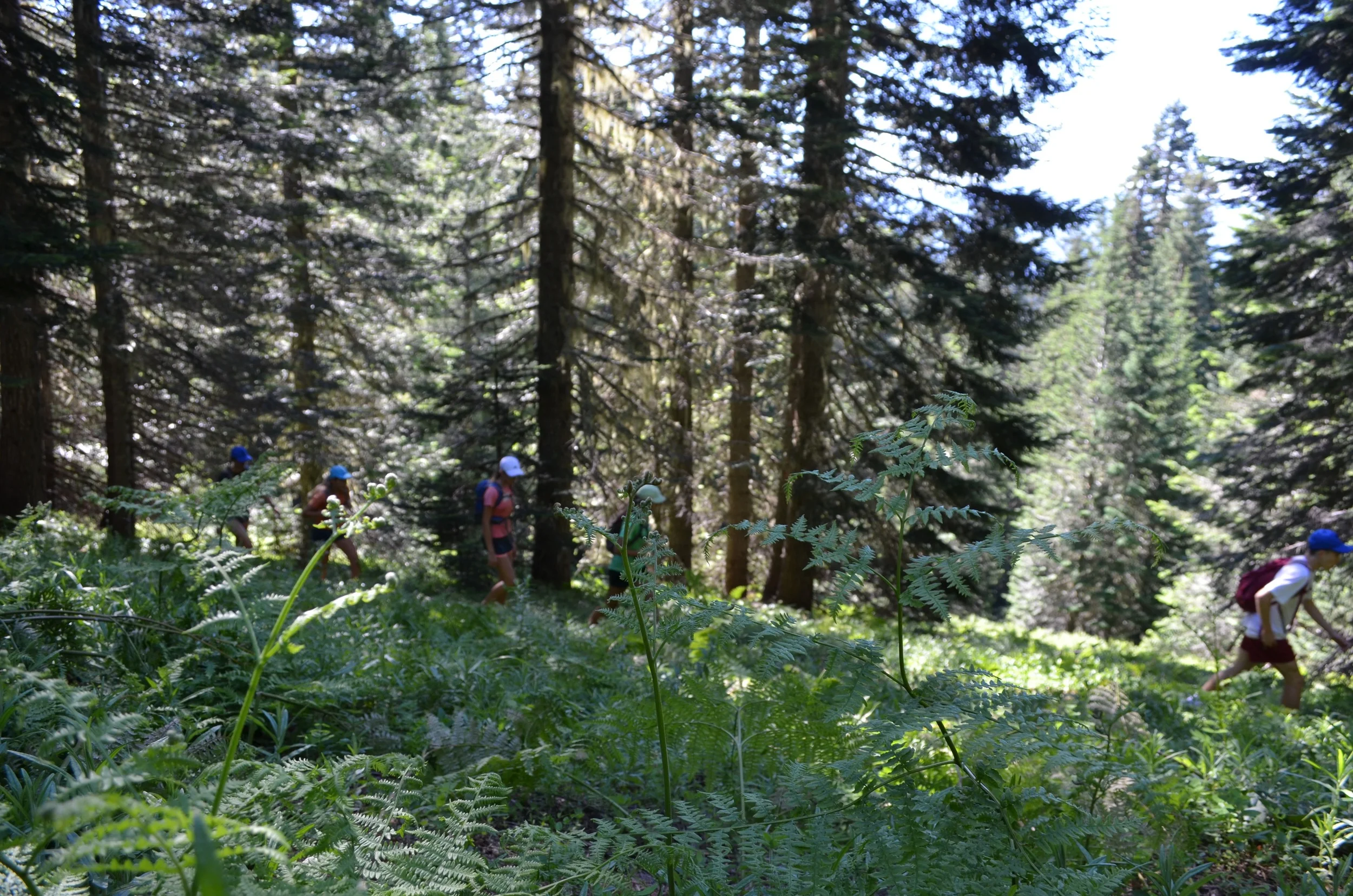 DSC_0665.jpg