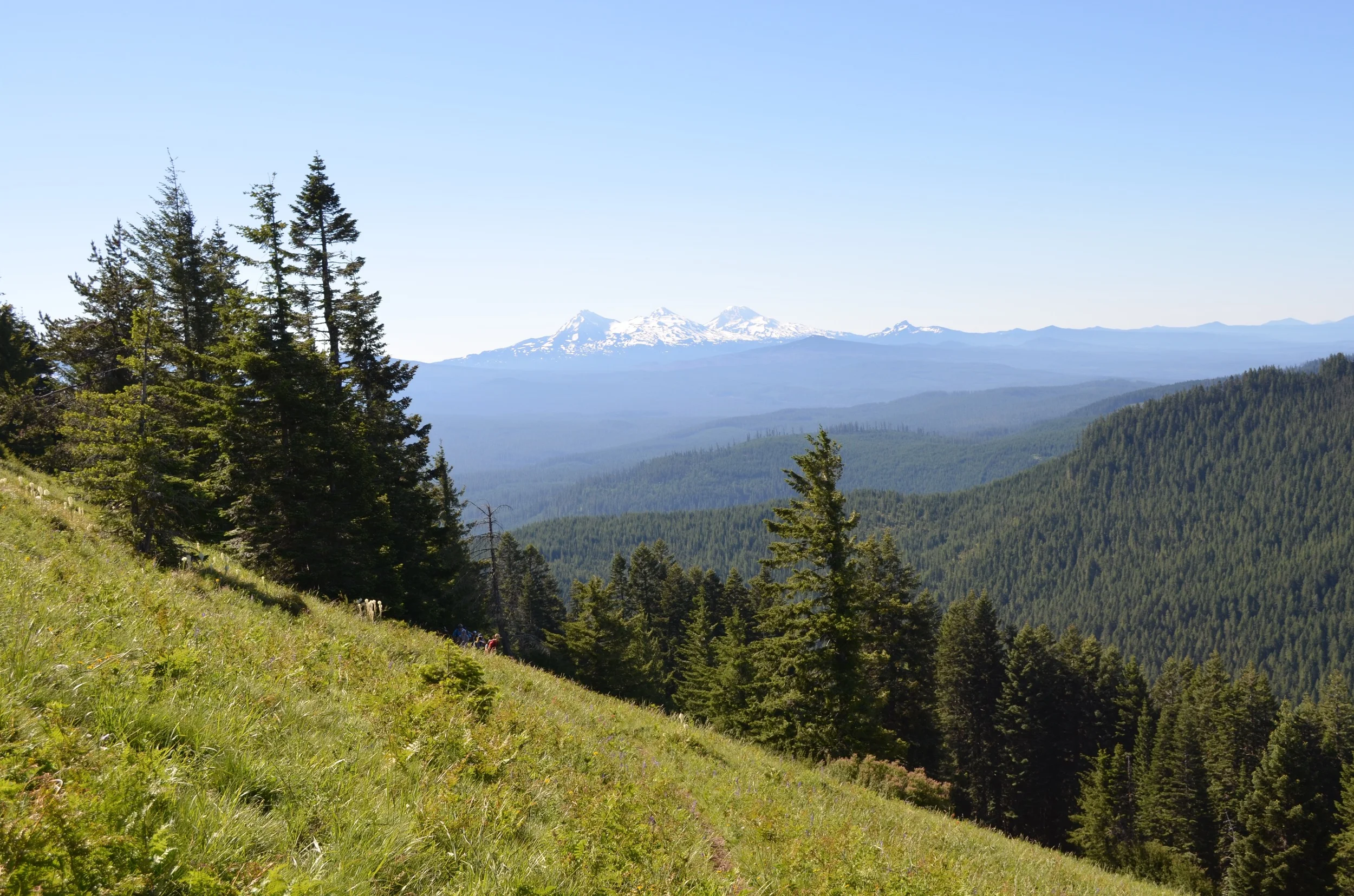 DSC_0681.jpg