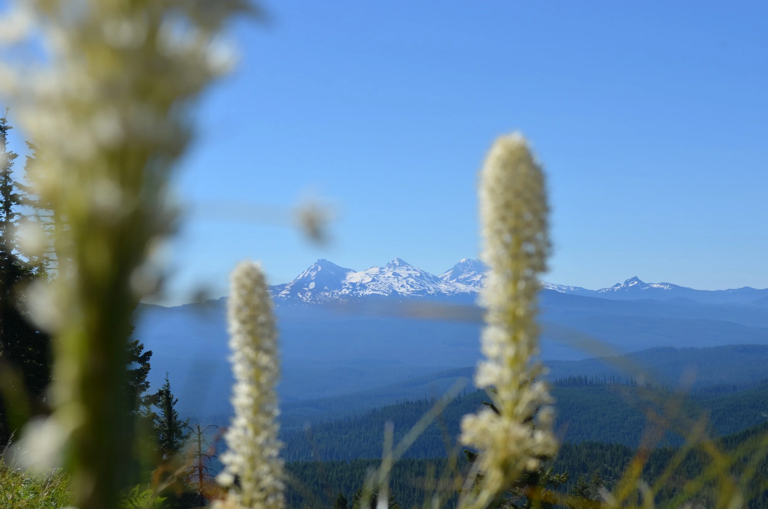 DSC_0706.jpg