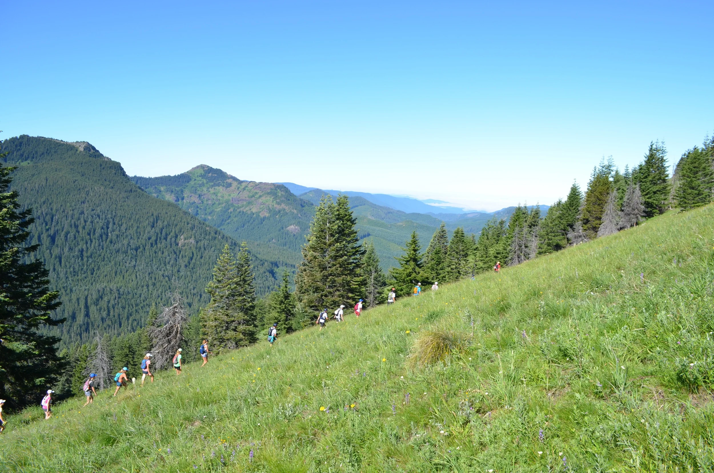 DSC_0707.jpg