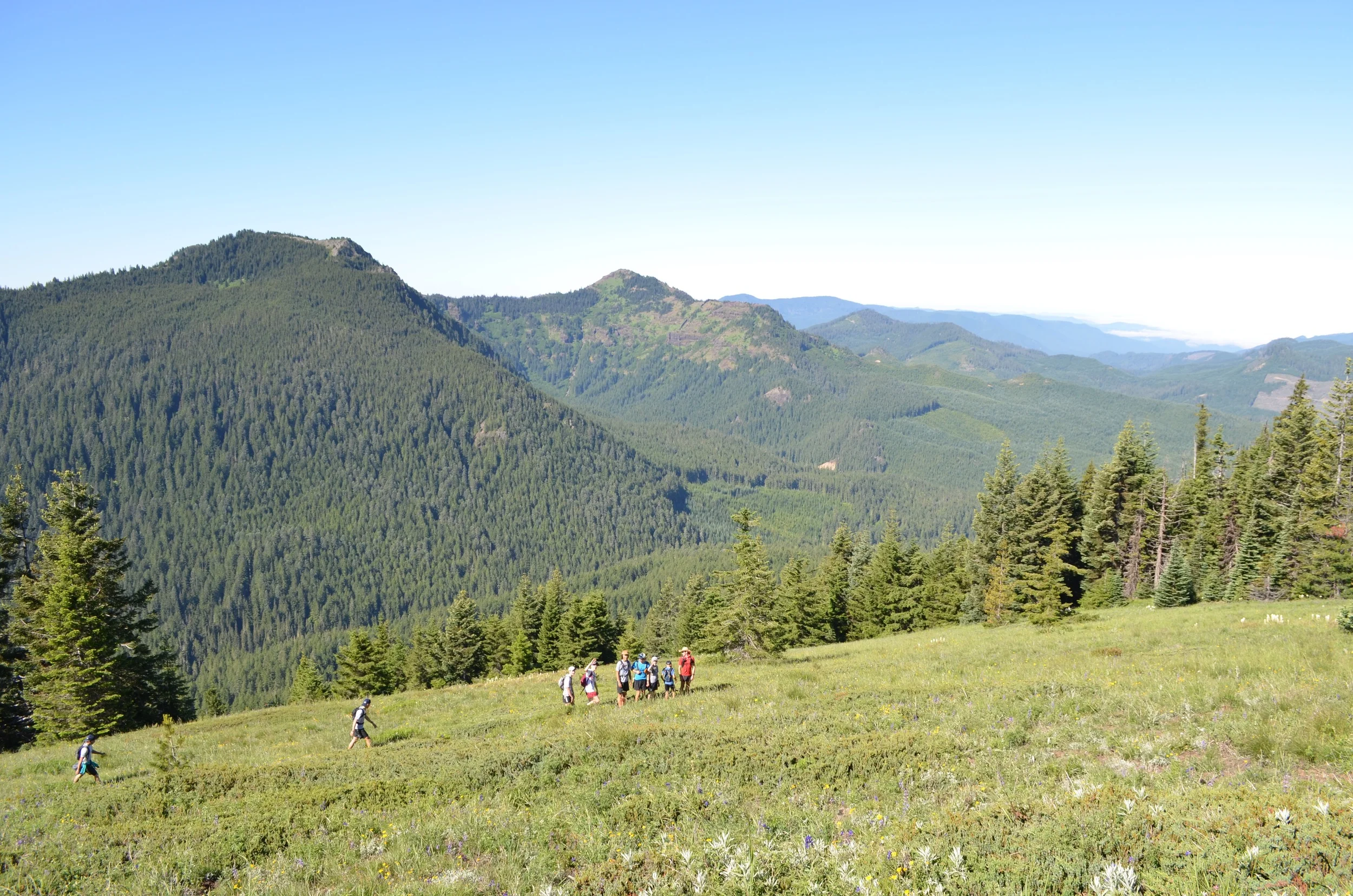 DSC_0710.jpg