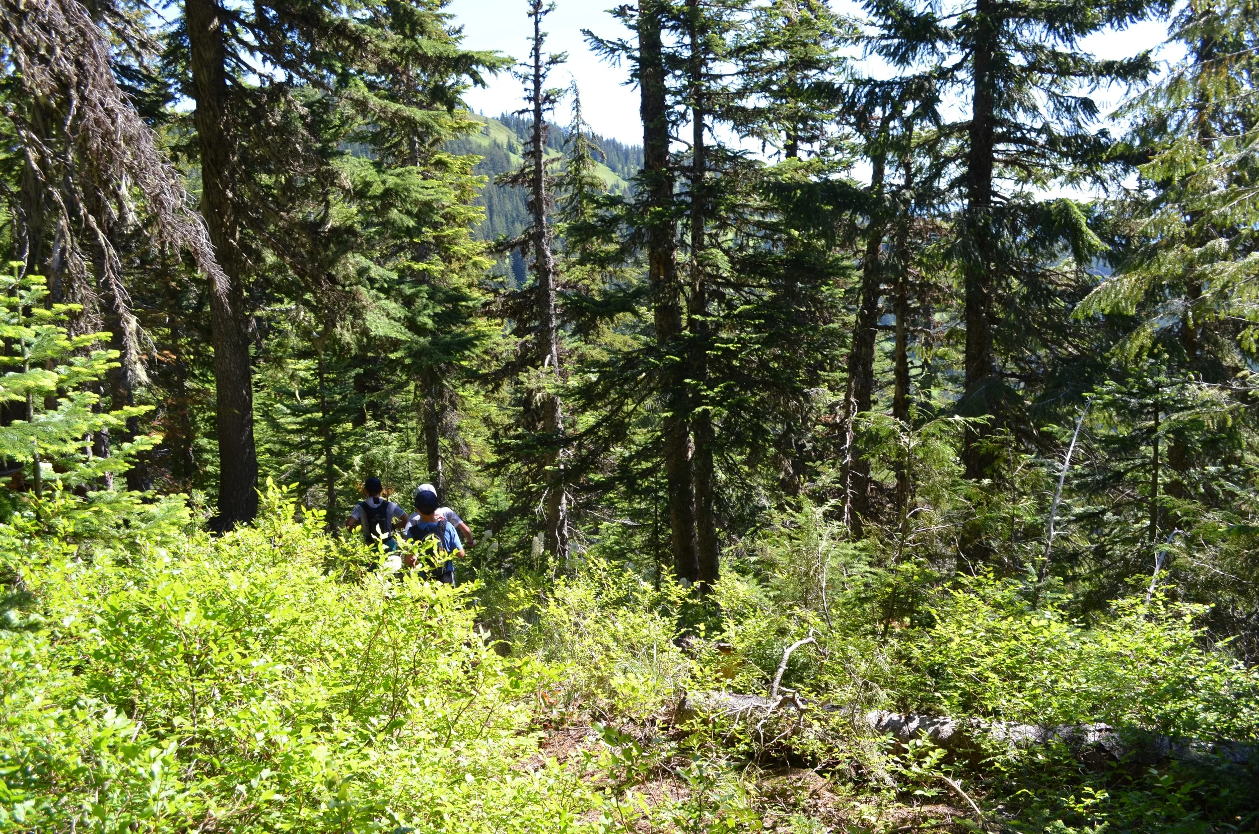 DSC_0846.jpg