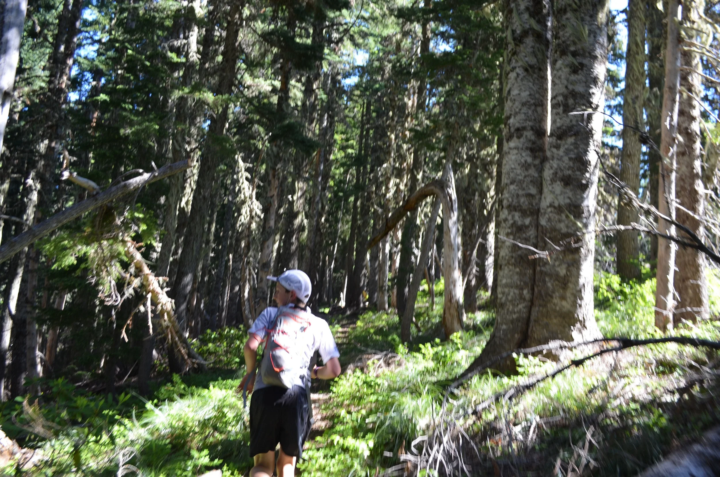 DSC_0847.jpg