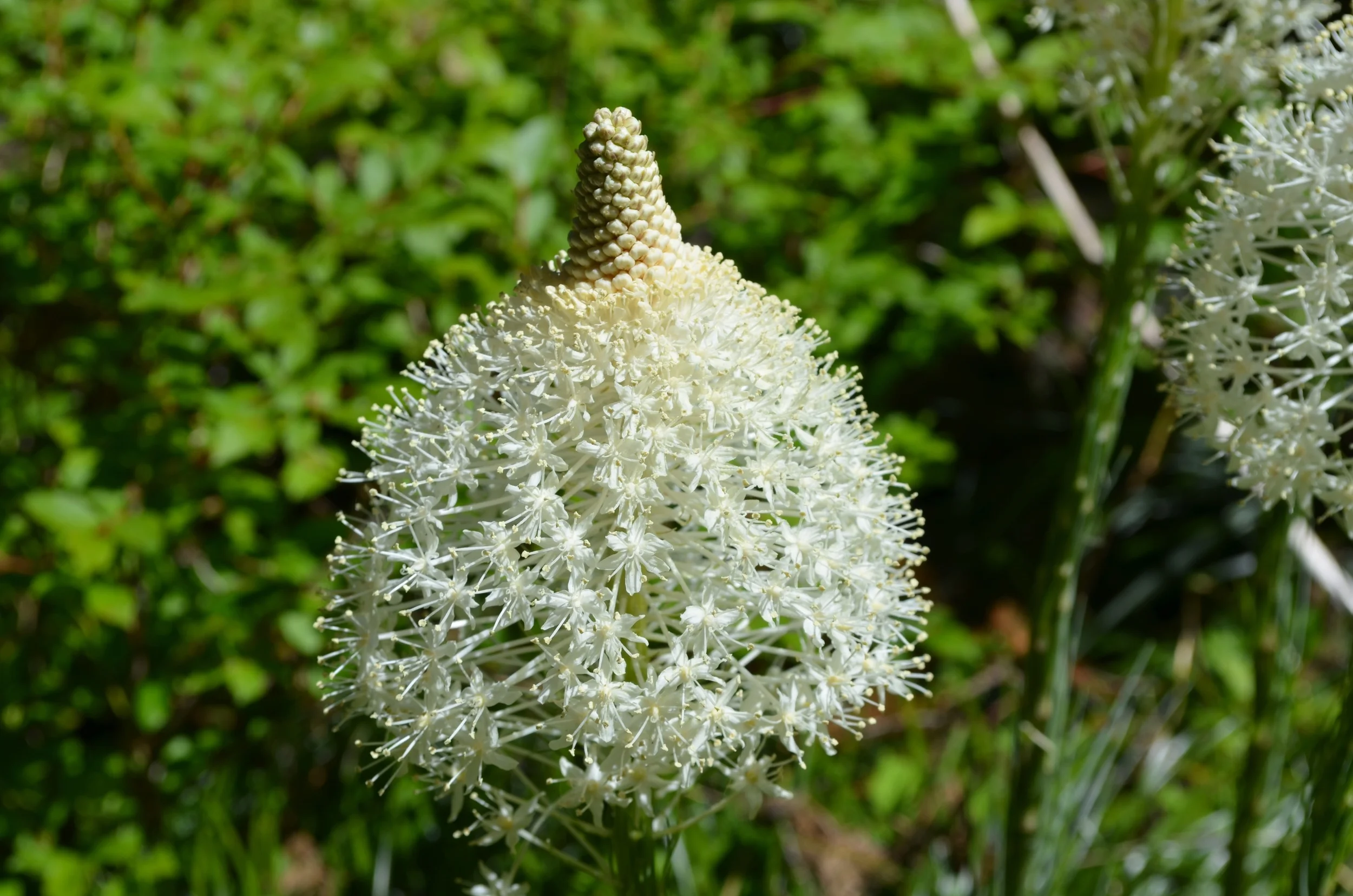 DSC_0867.jpg
