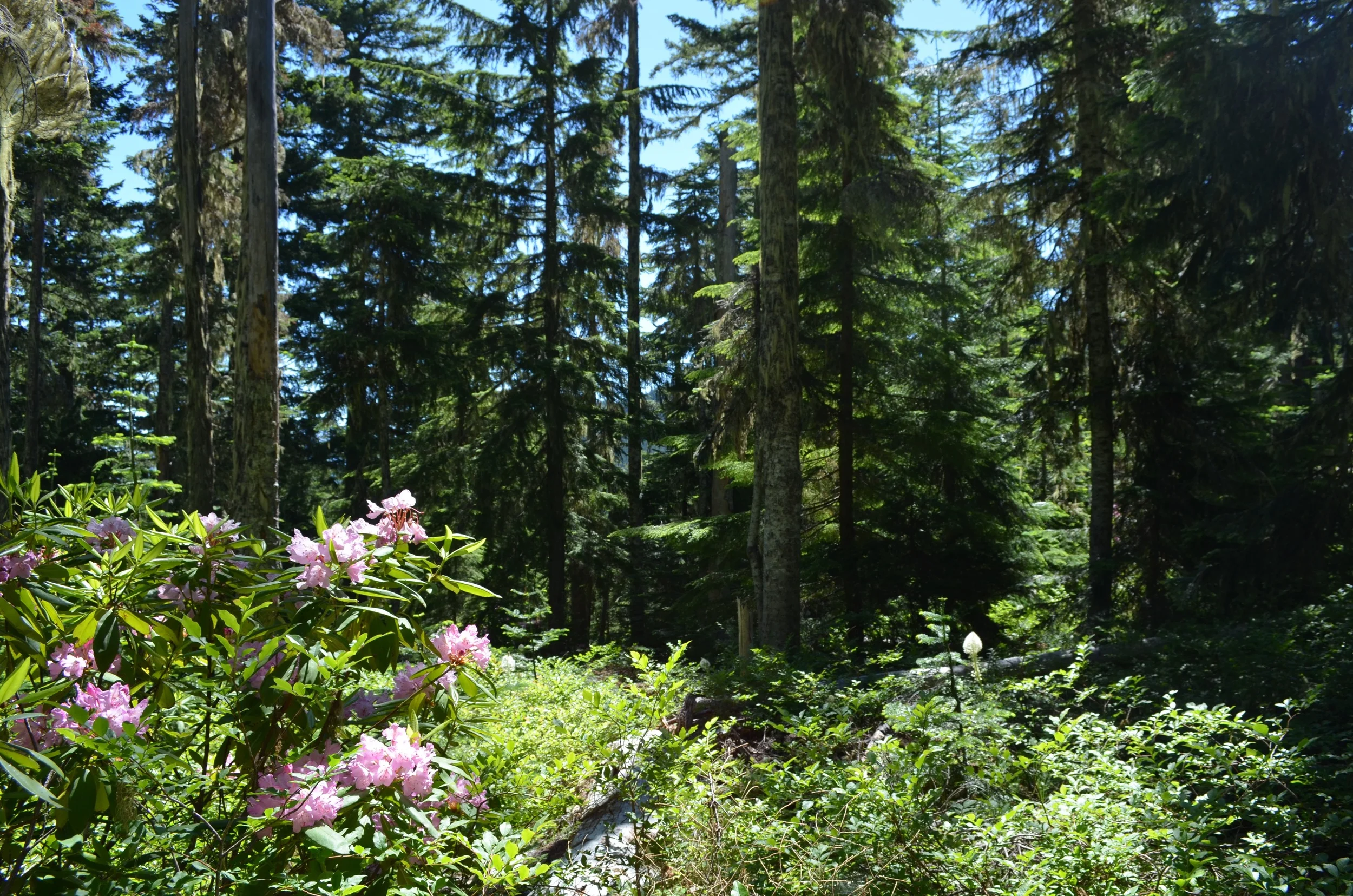 DSC_0870.jpg