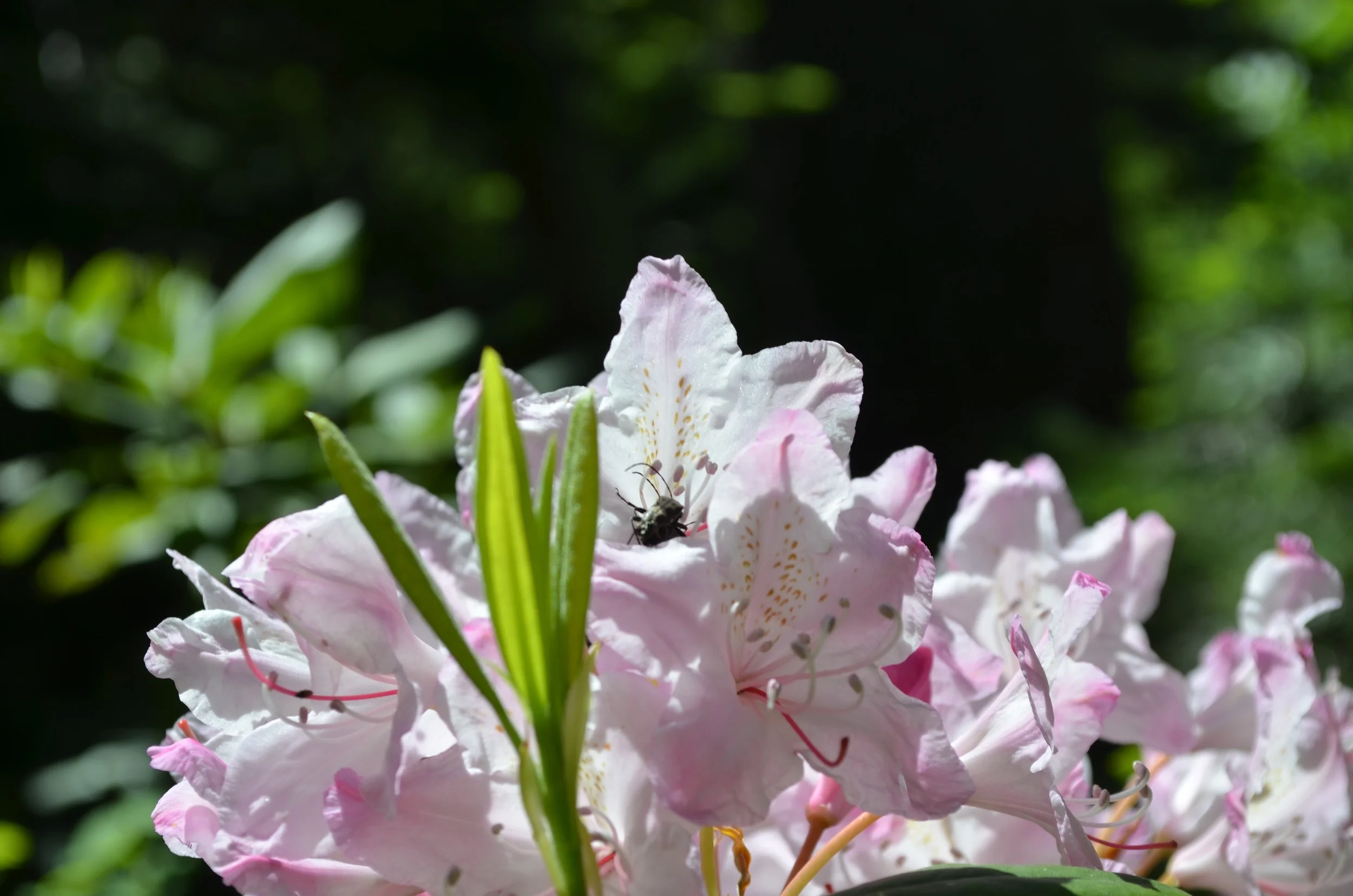 DSC_0880.jpg