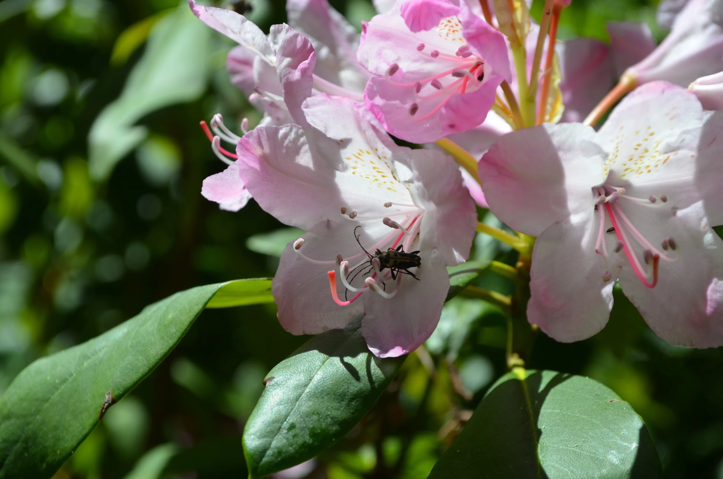DSC_0881.jpg