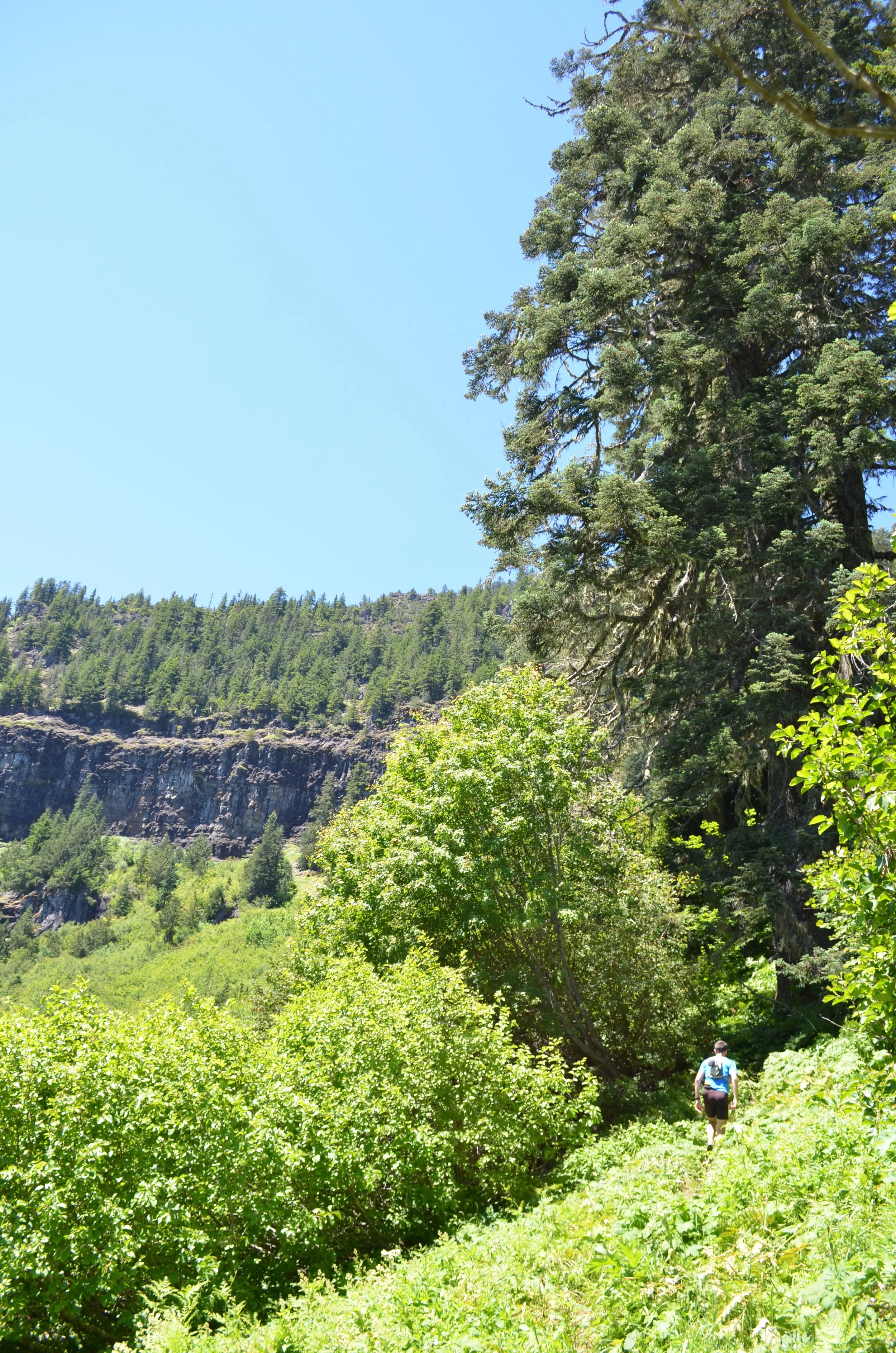 DSC_0908.jpg