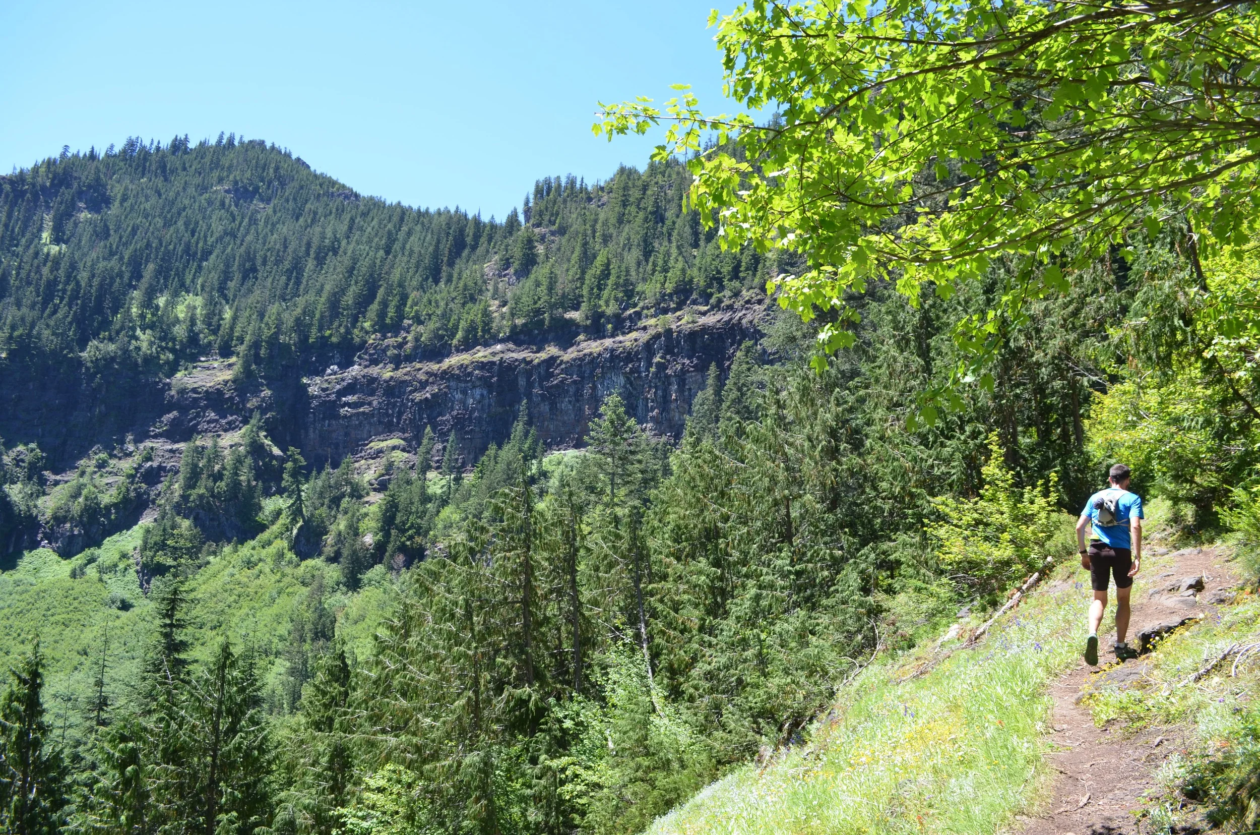 DSC_0911.jpg