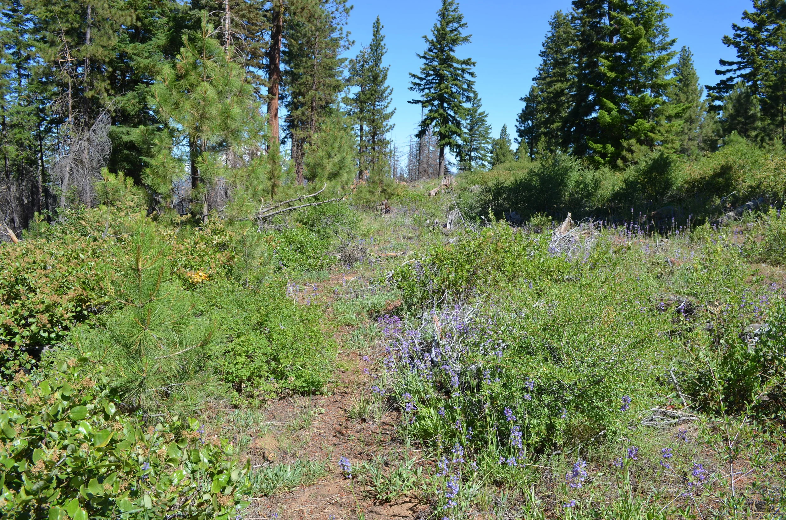 DSC_0482.JPG