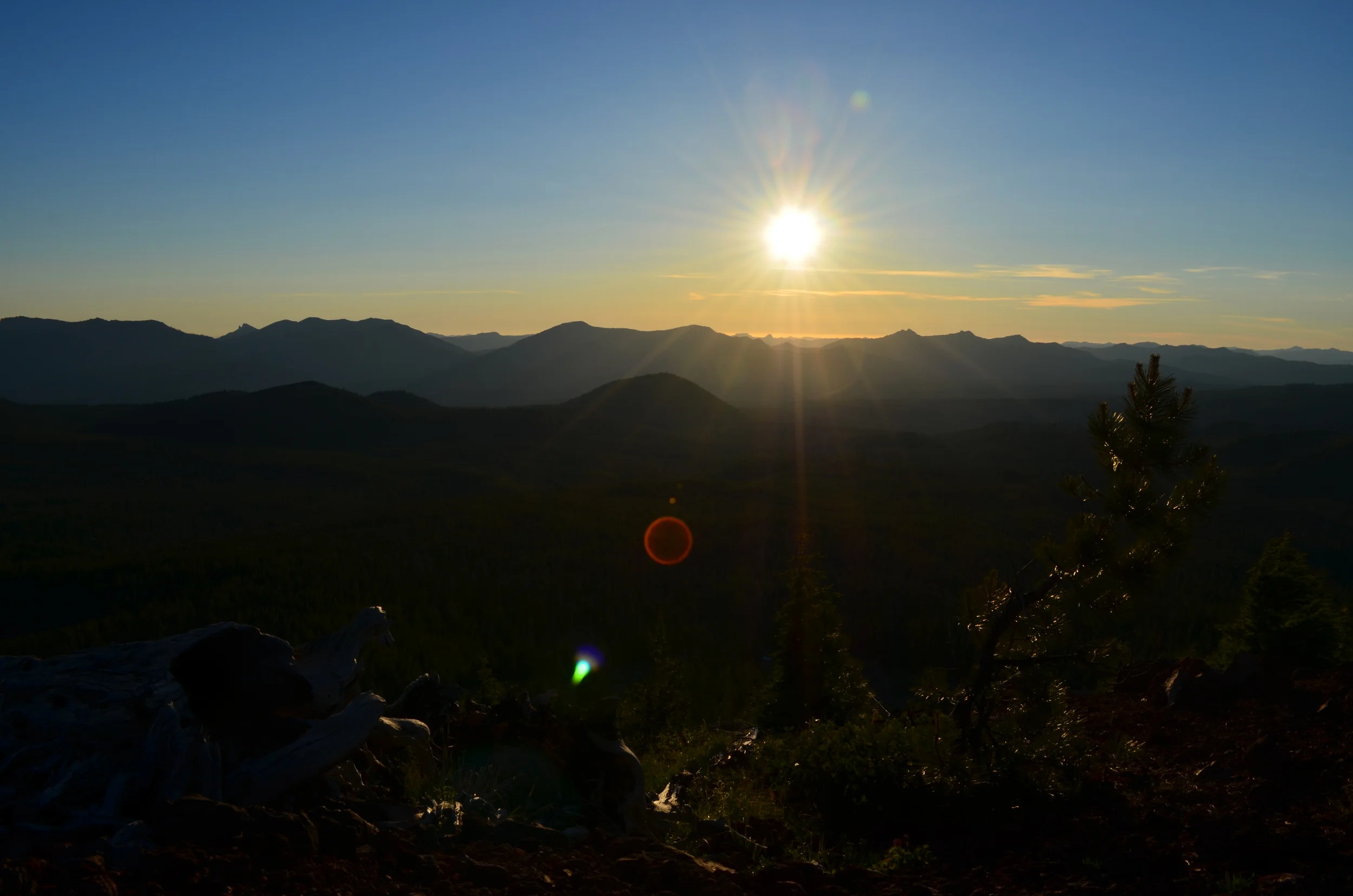 DSC_0631.JPG