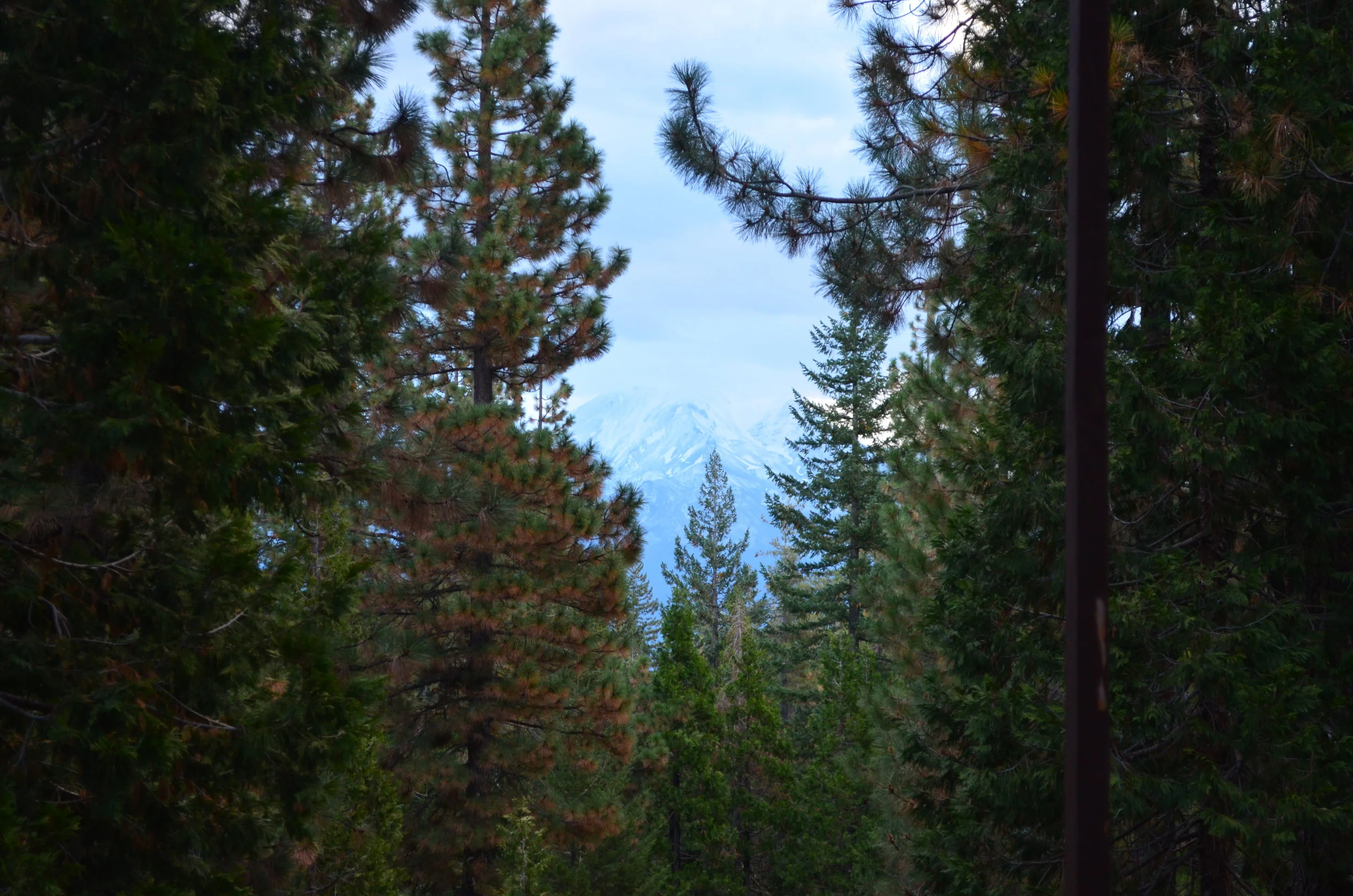 DSC_0707.JPG